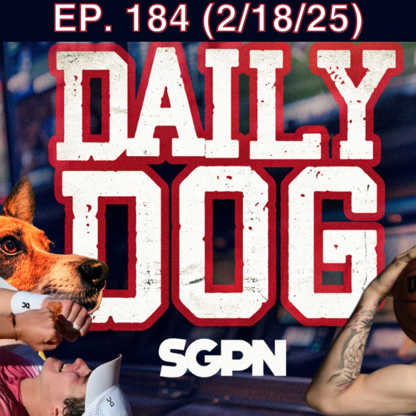 The Daily Dog