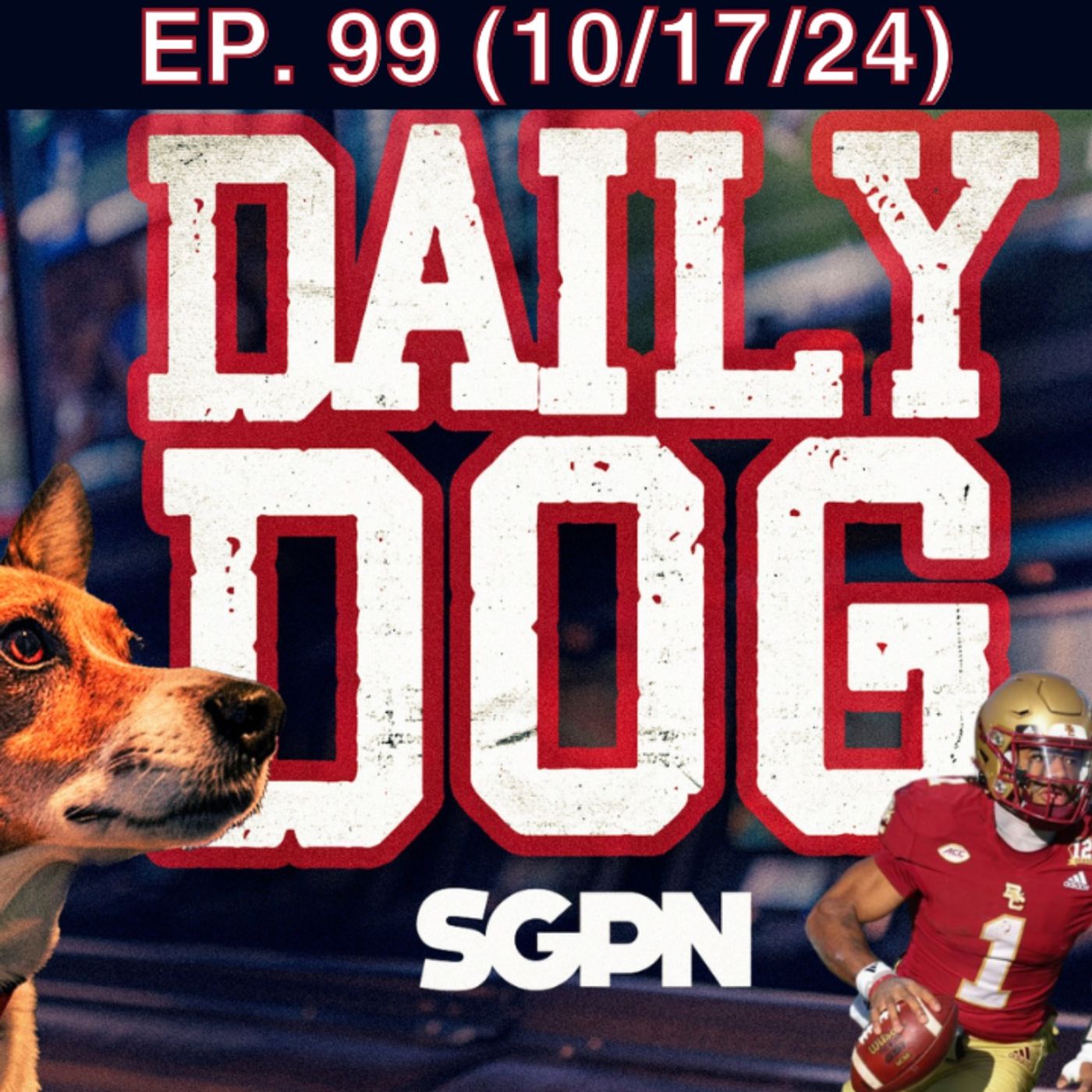 The Daily Dog