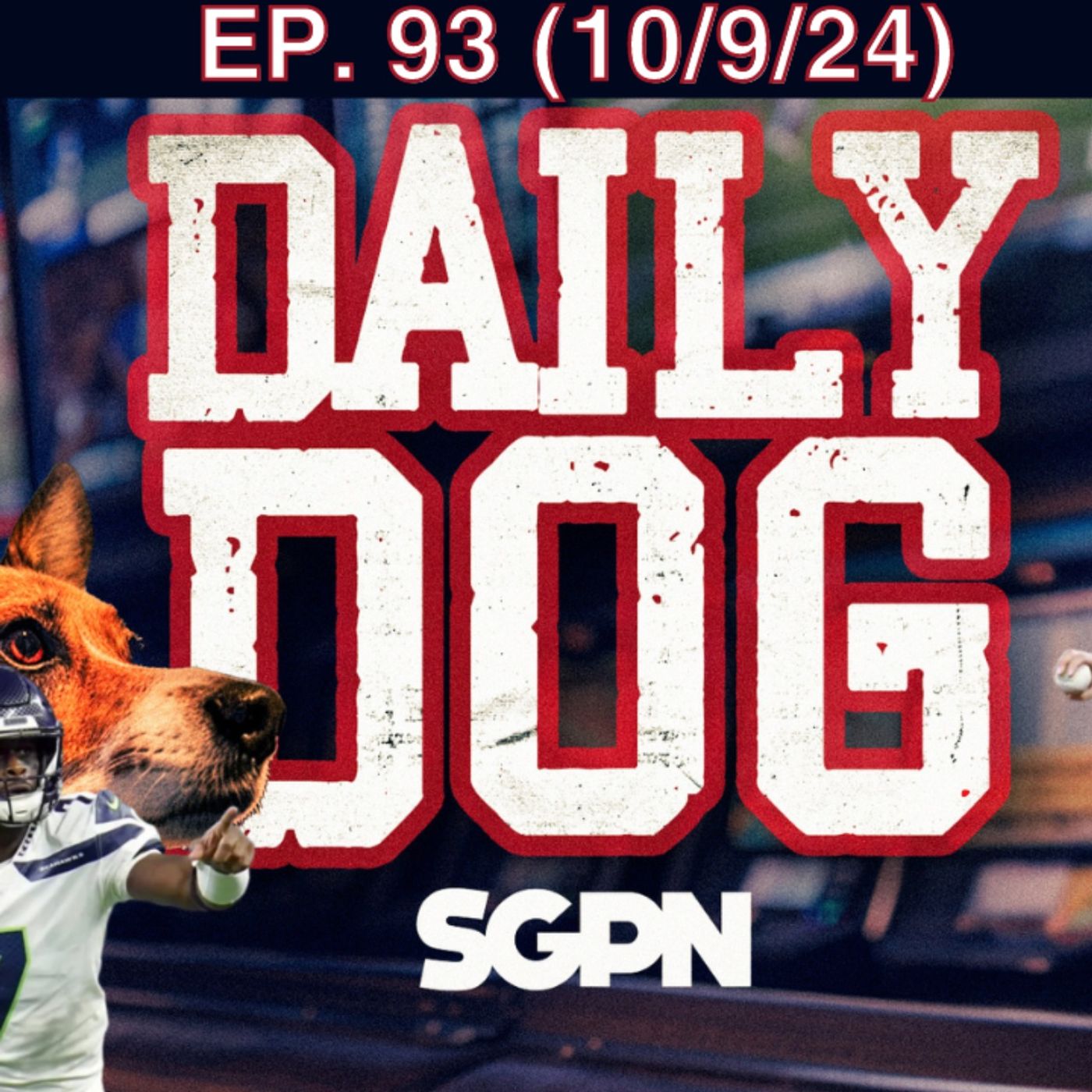 The Daily Dog