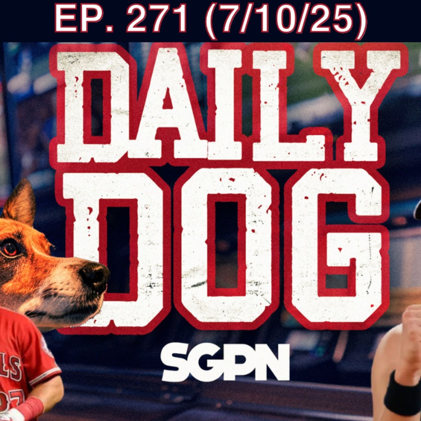 The Daily Dog
