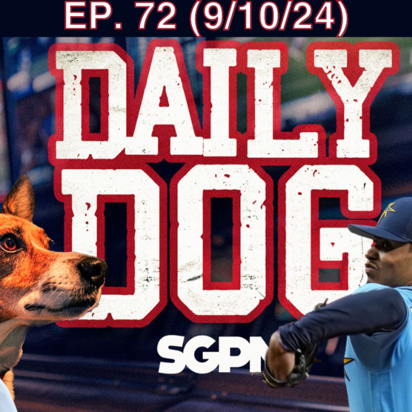 The Daily Dog