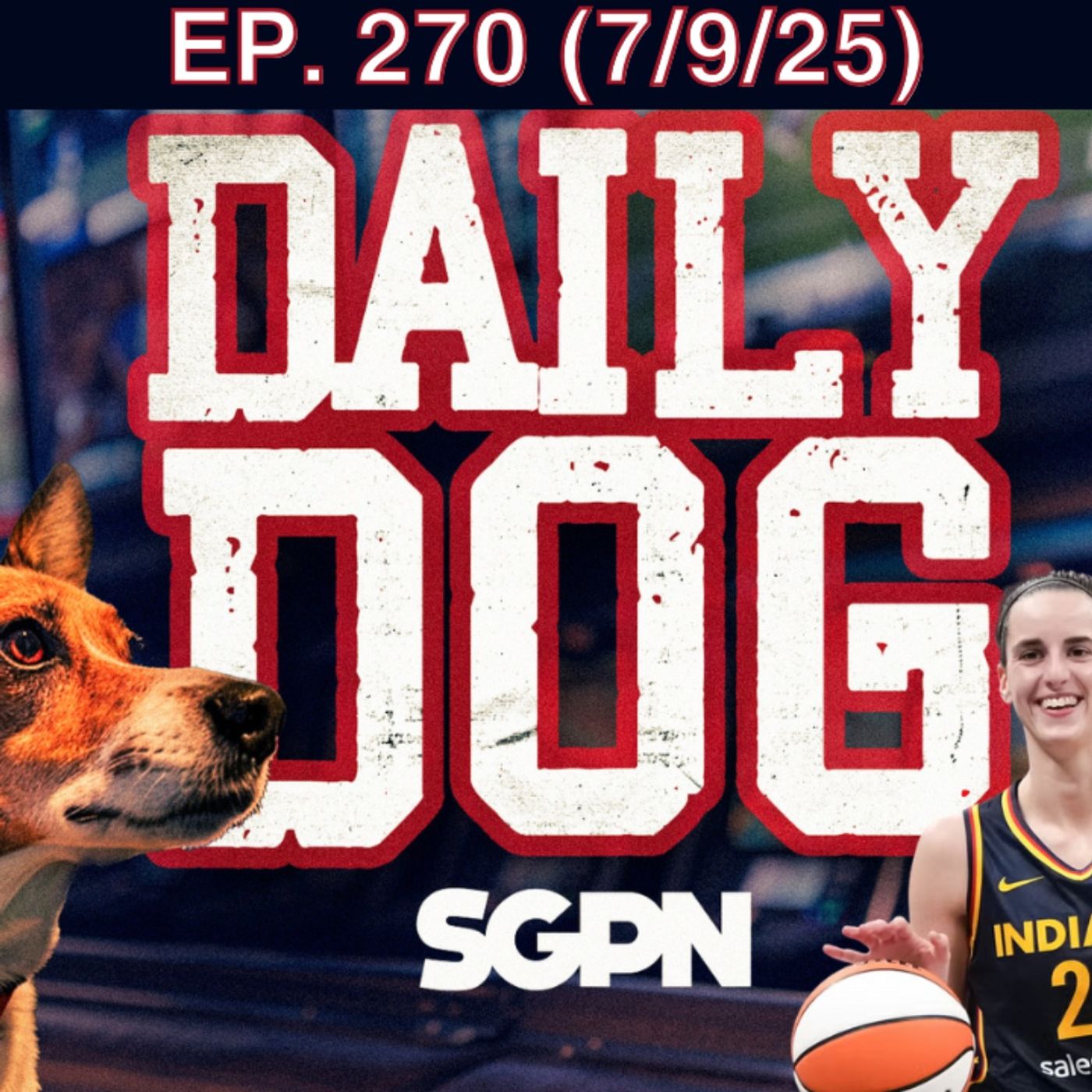 The Daily Dog