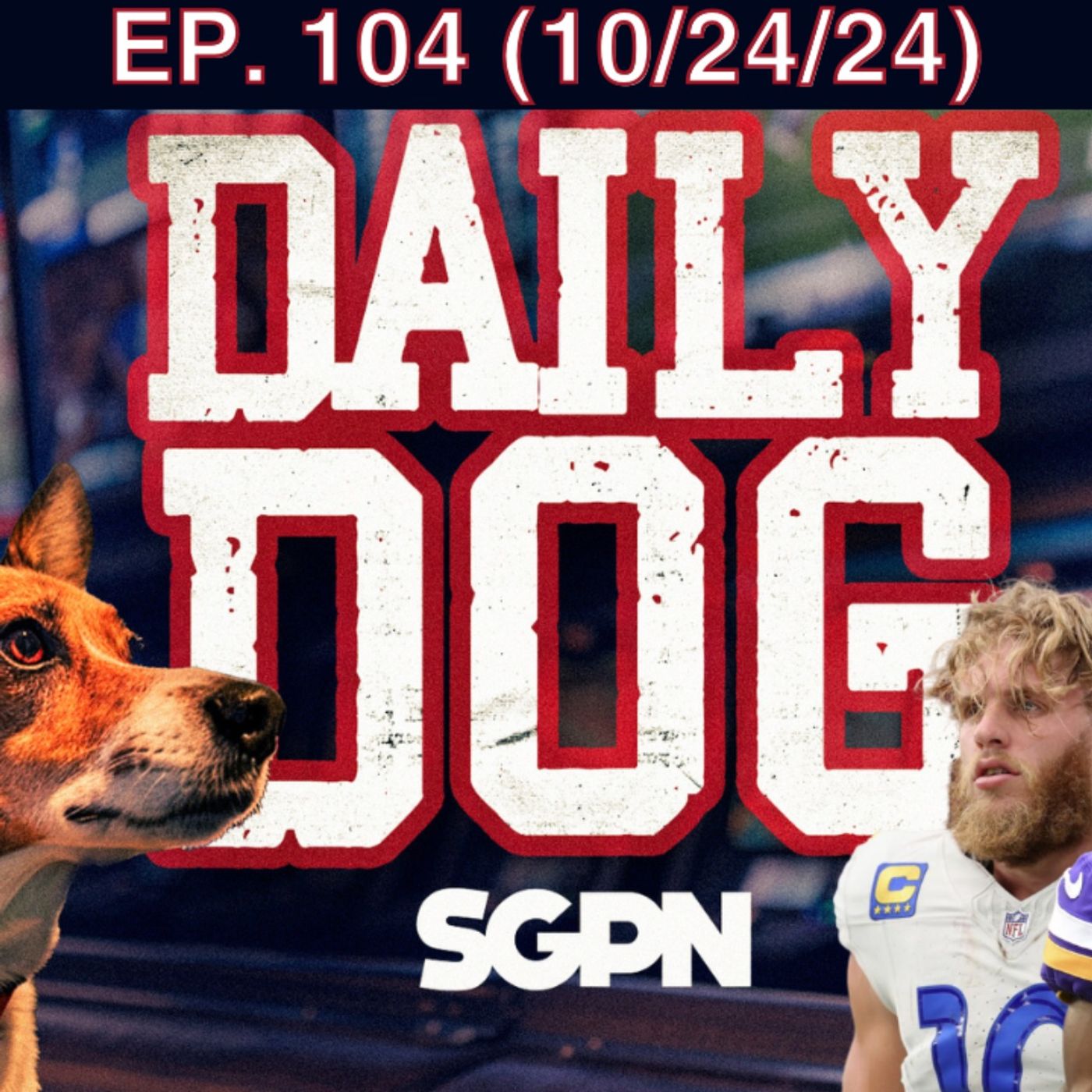 The Daily Dog