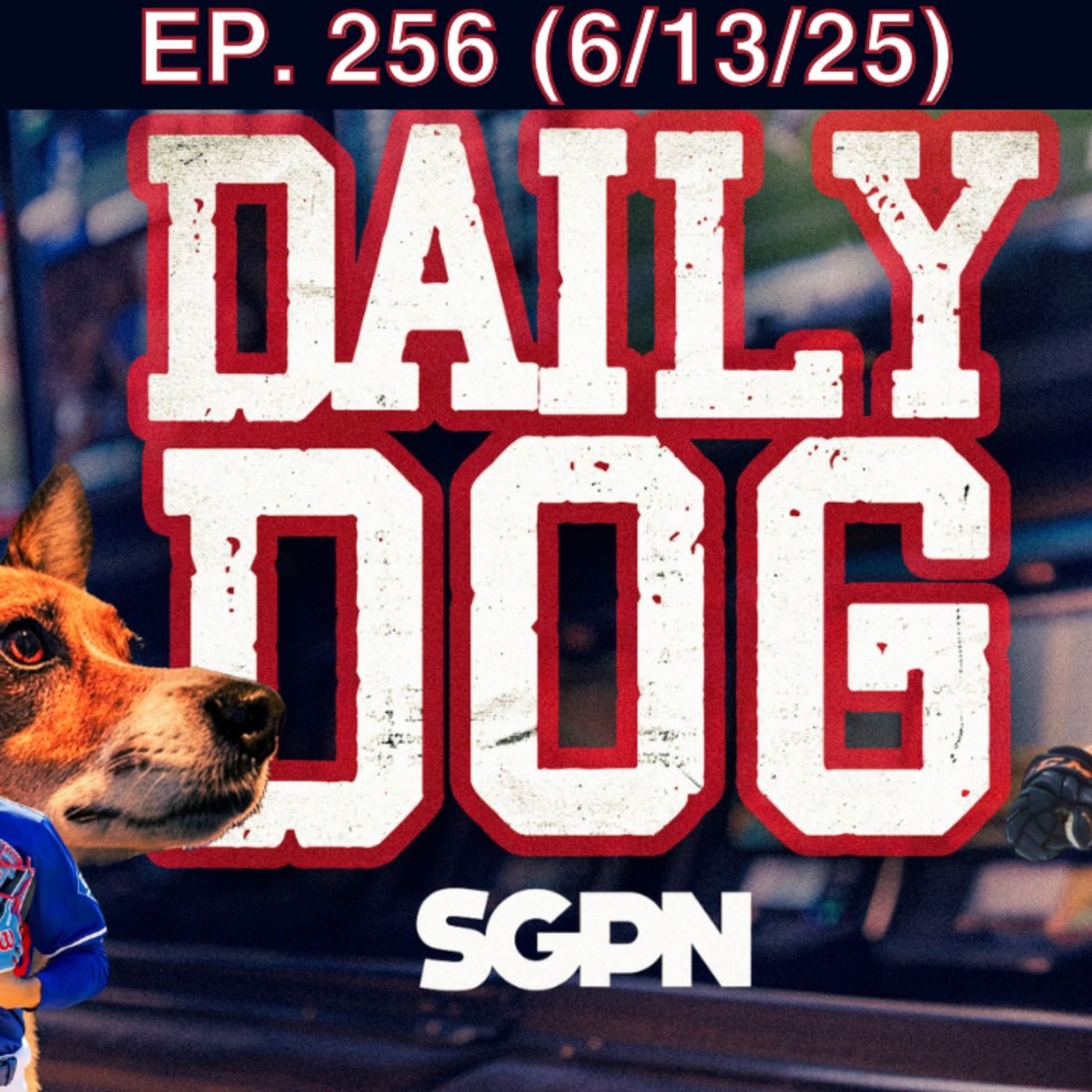 The Daily Dog