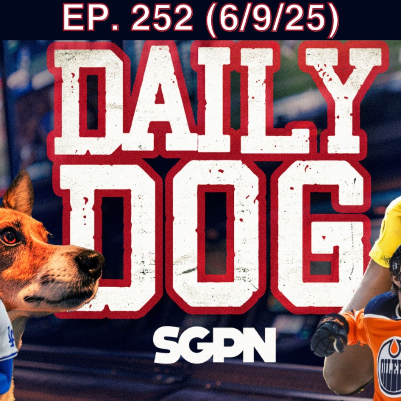 The Daily Dog