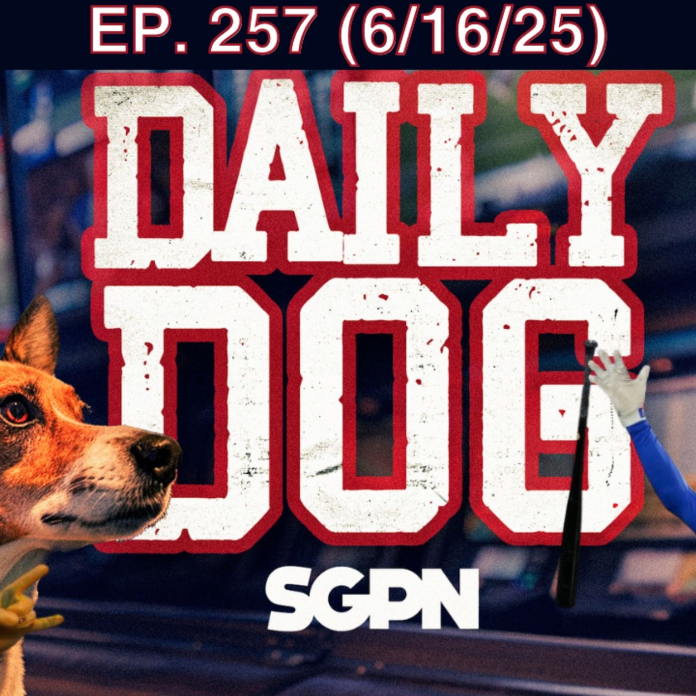 The Daily Dog