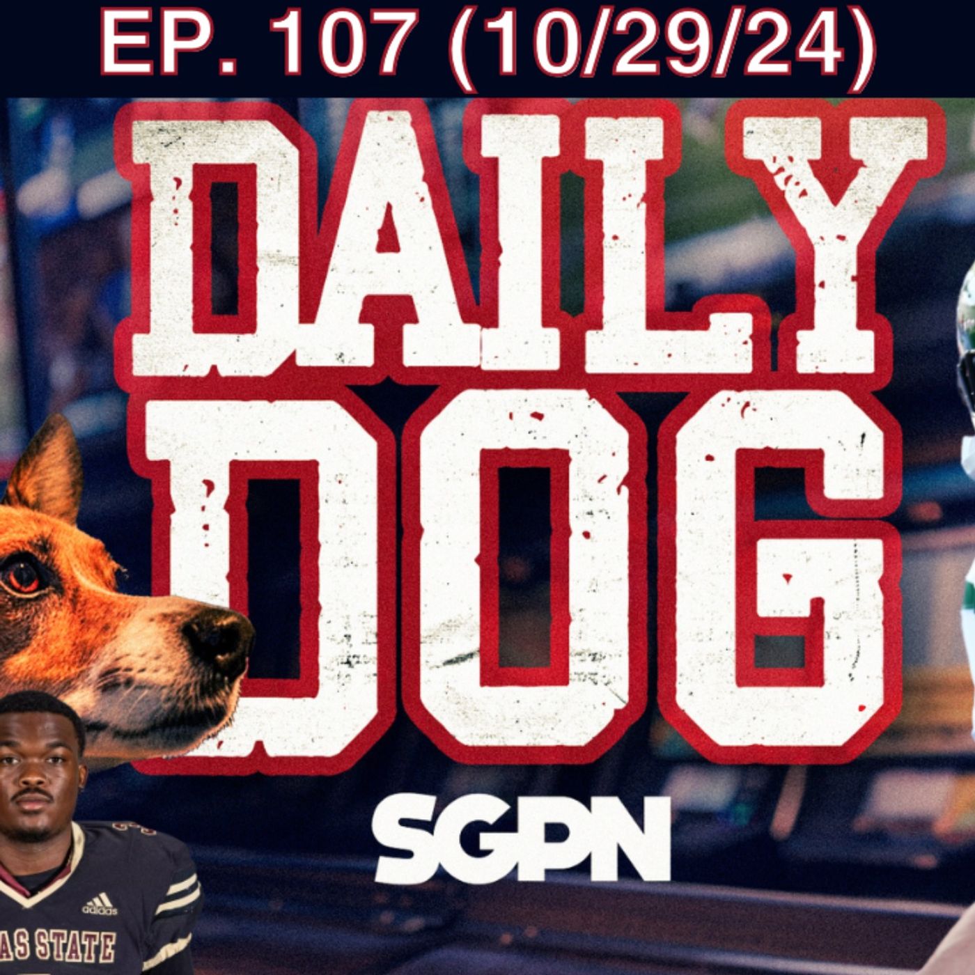 The Daily Dog