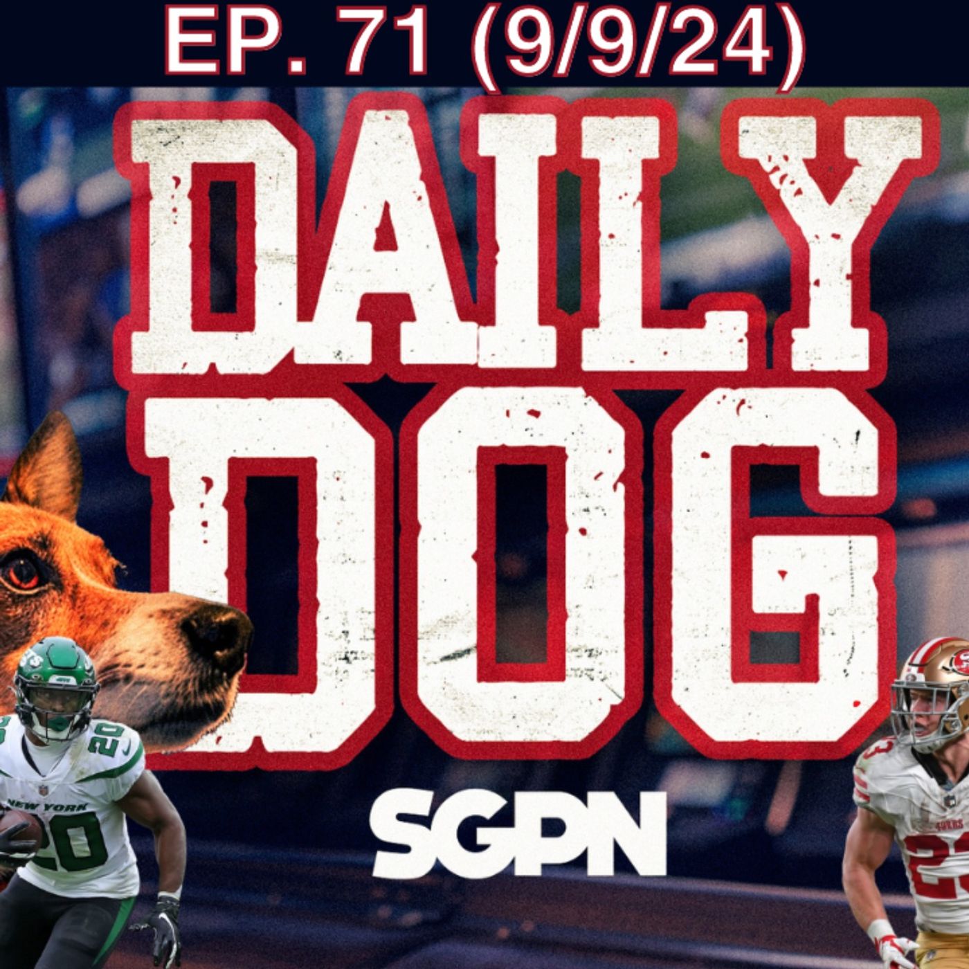 The Daily Dog