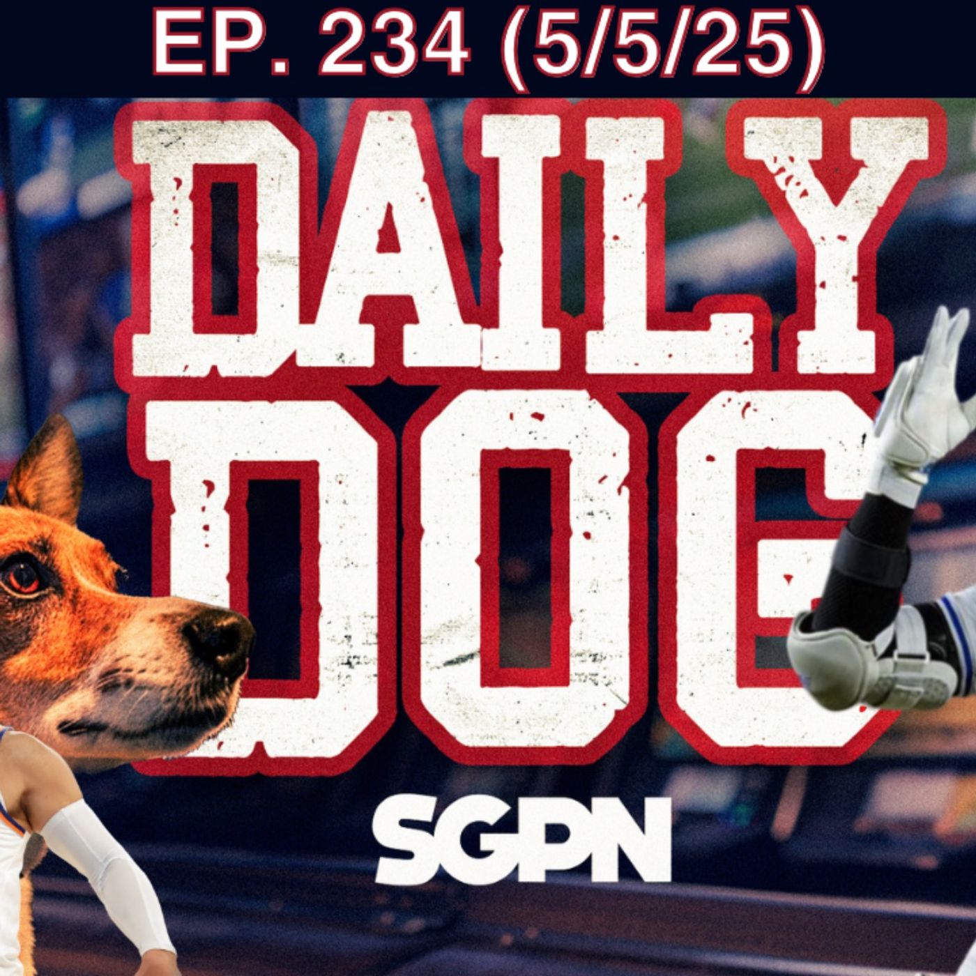 The Daily Dog