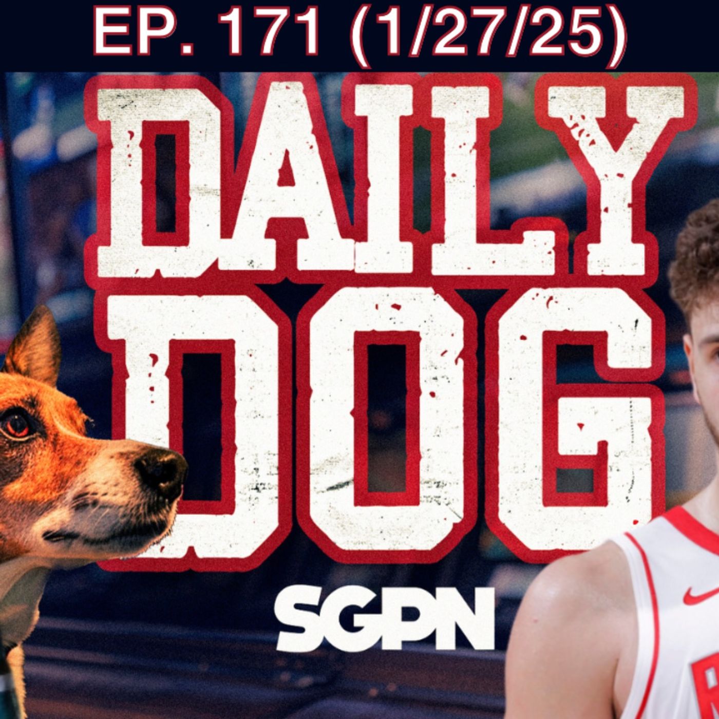 The Daily Dog