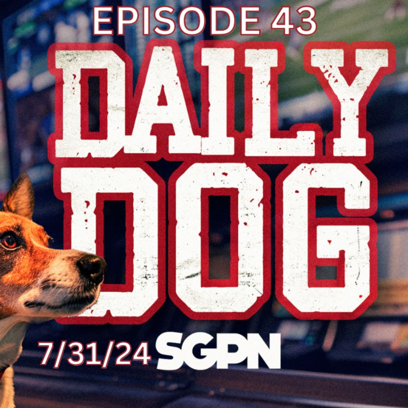 Underdog Picks for Wednesday (7/31) | THE DAILY DOG (Ep. 43)
