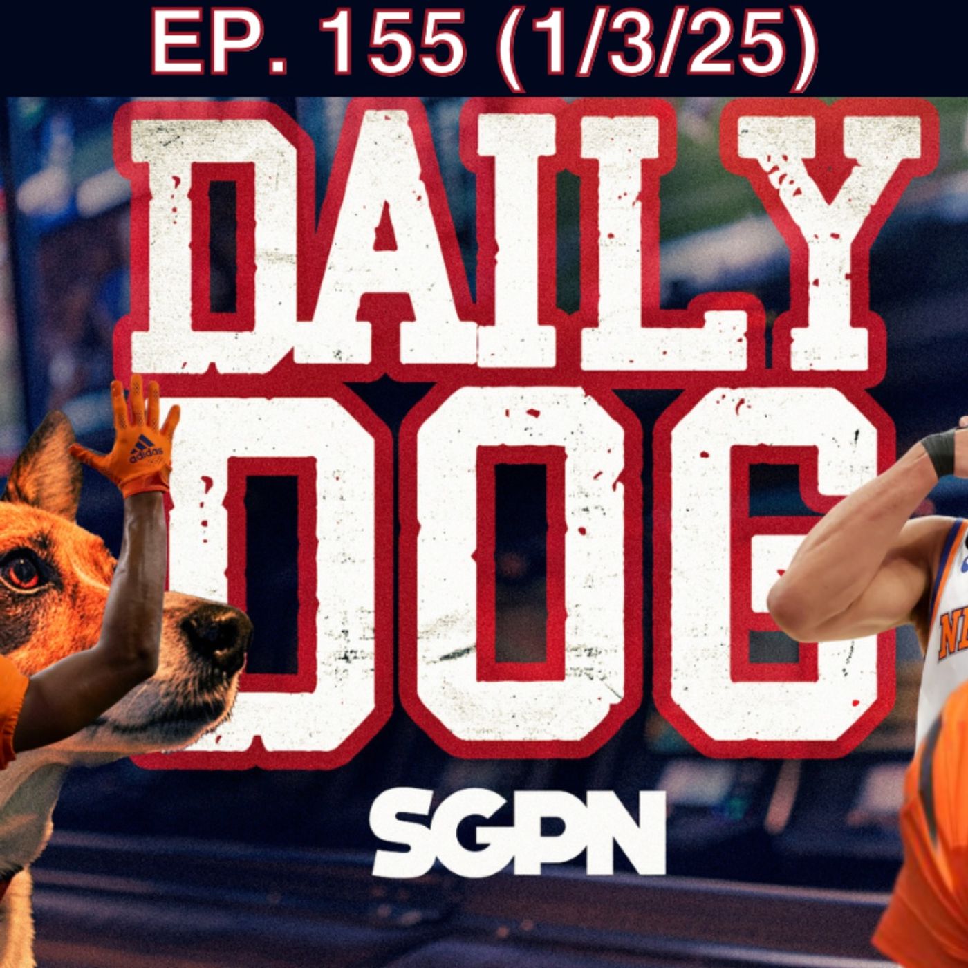The Daily Dog