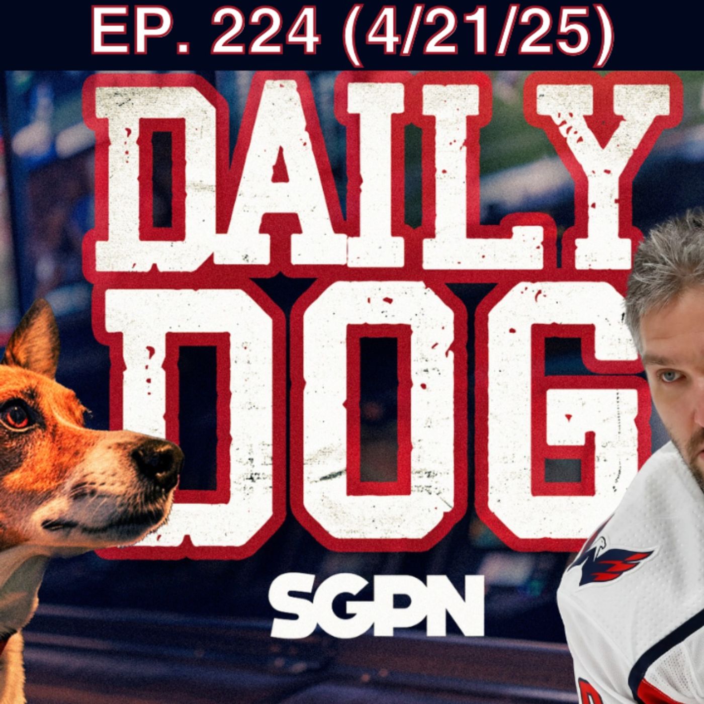 Sports Gambling Podcast Network
