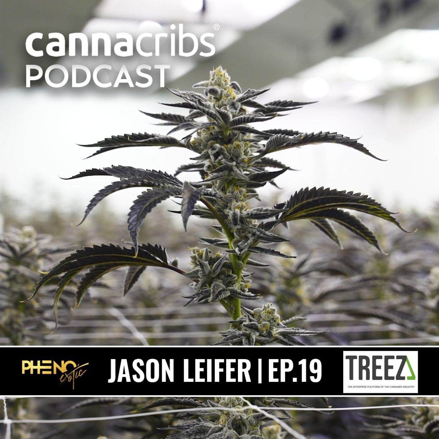 Canna Cribs Podcast