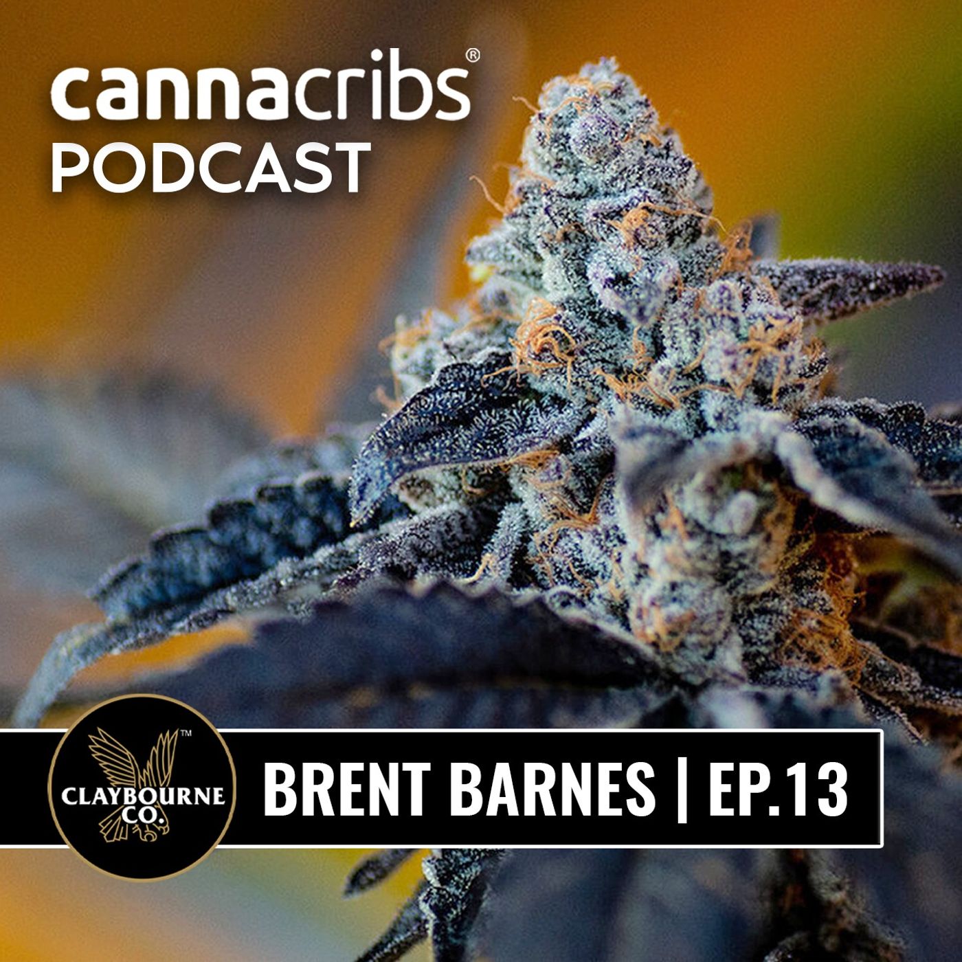 Canna Cribs Podcast