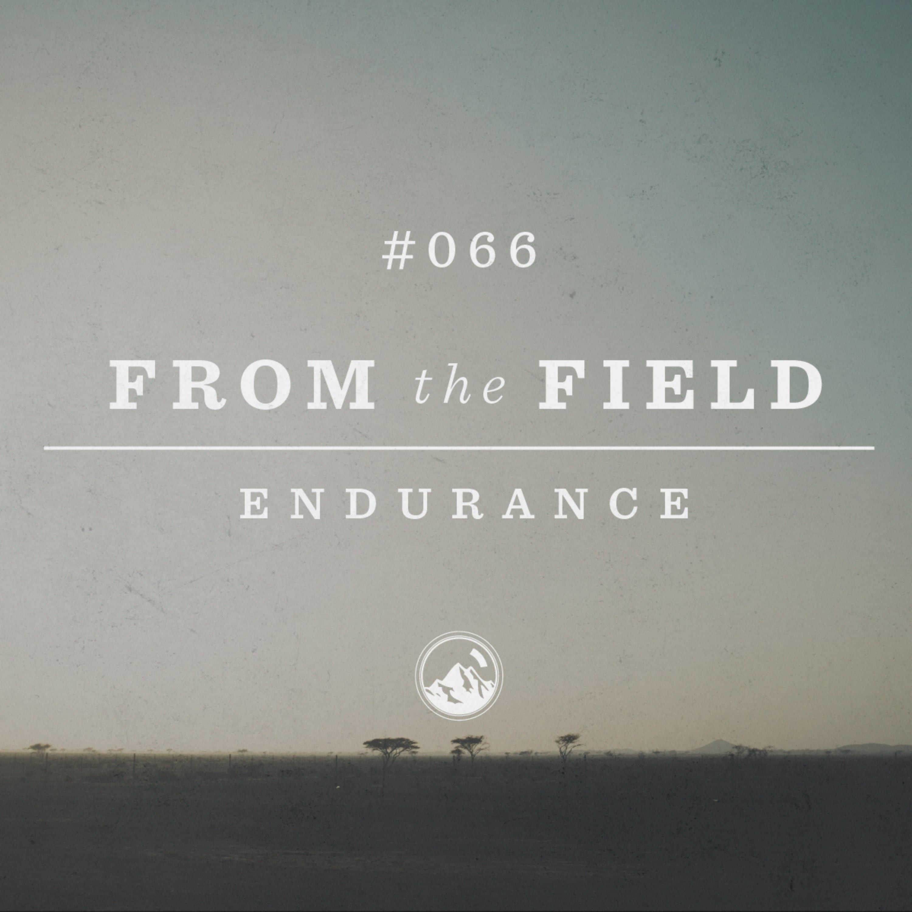 #066 From the Field: Endurance
