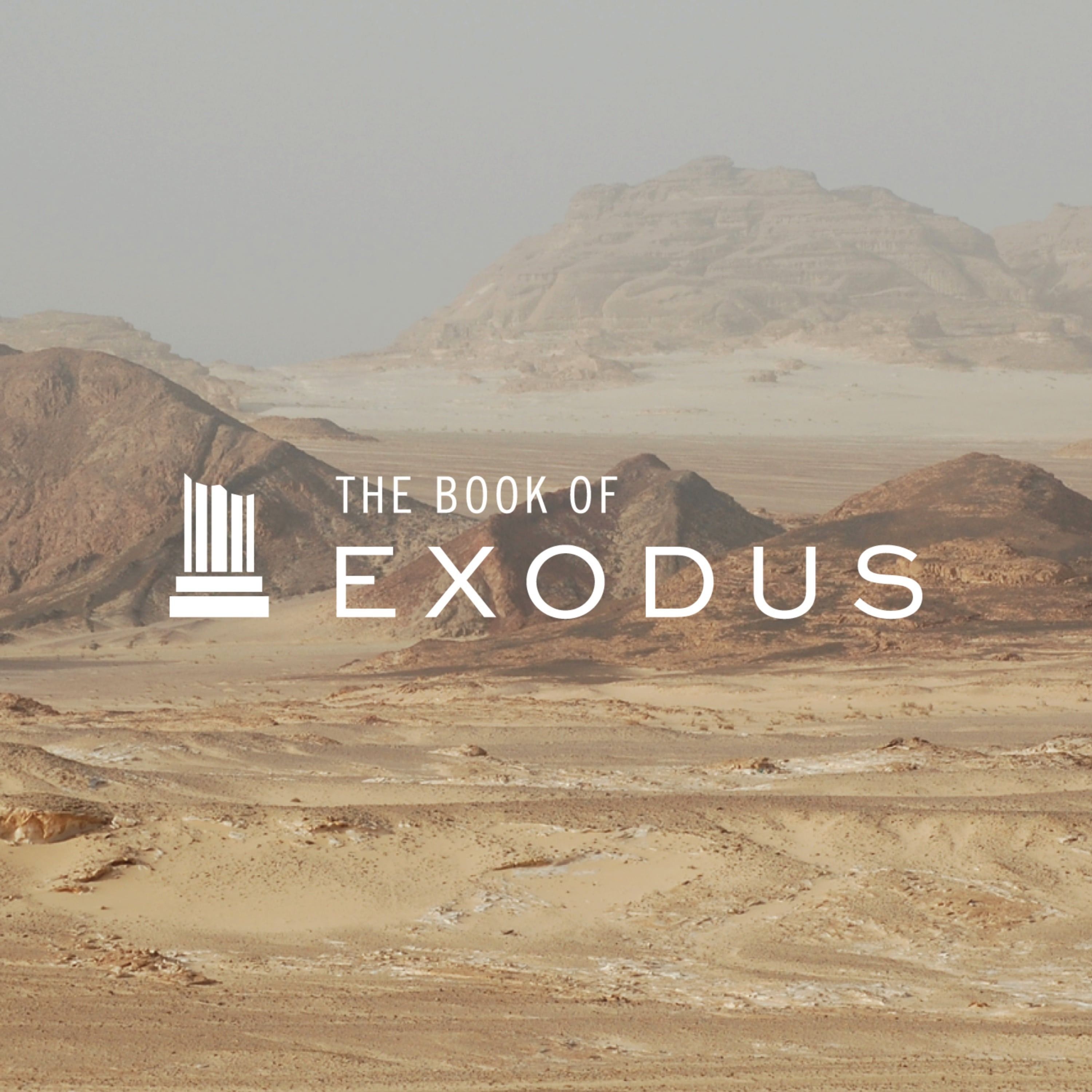 Provision in the Desert