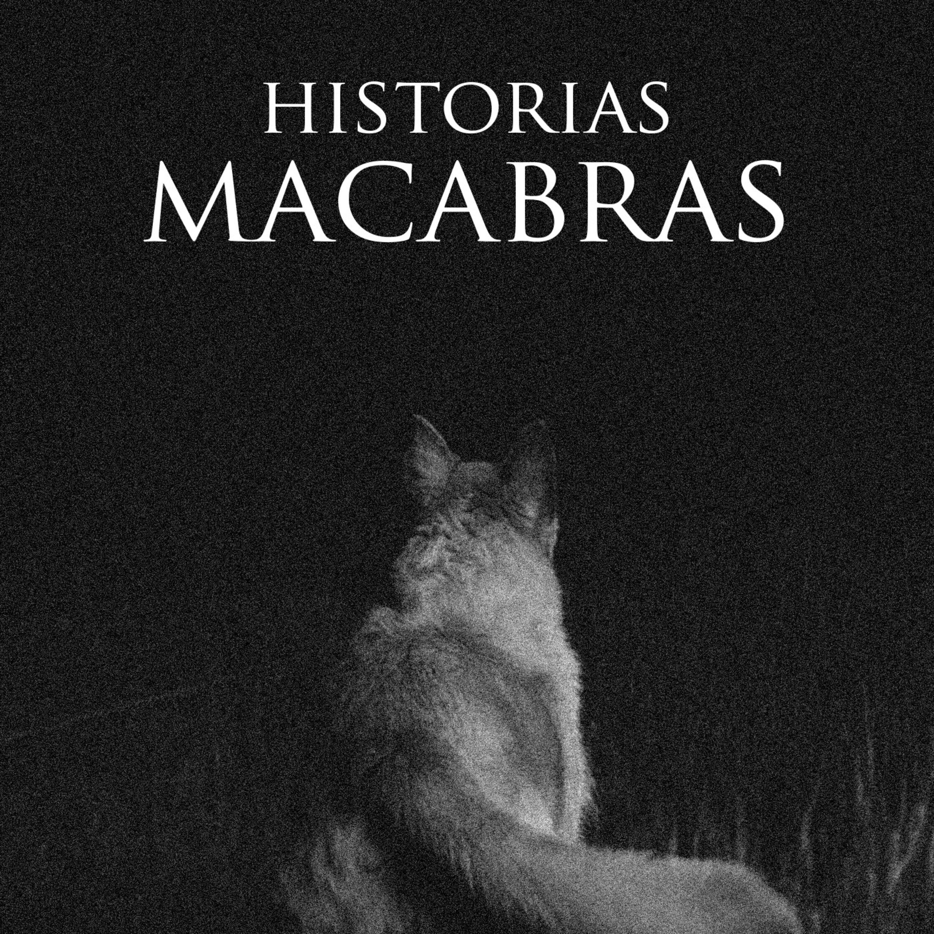 El perro y el fantasma (historias de horror paranormal)