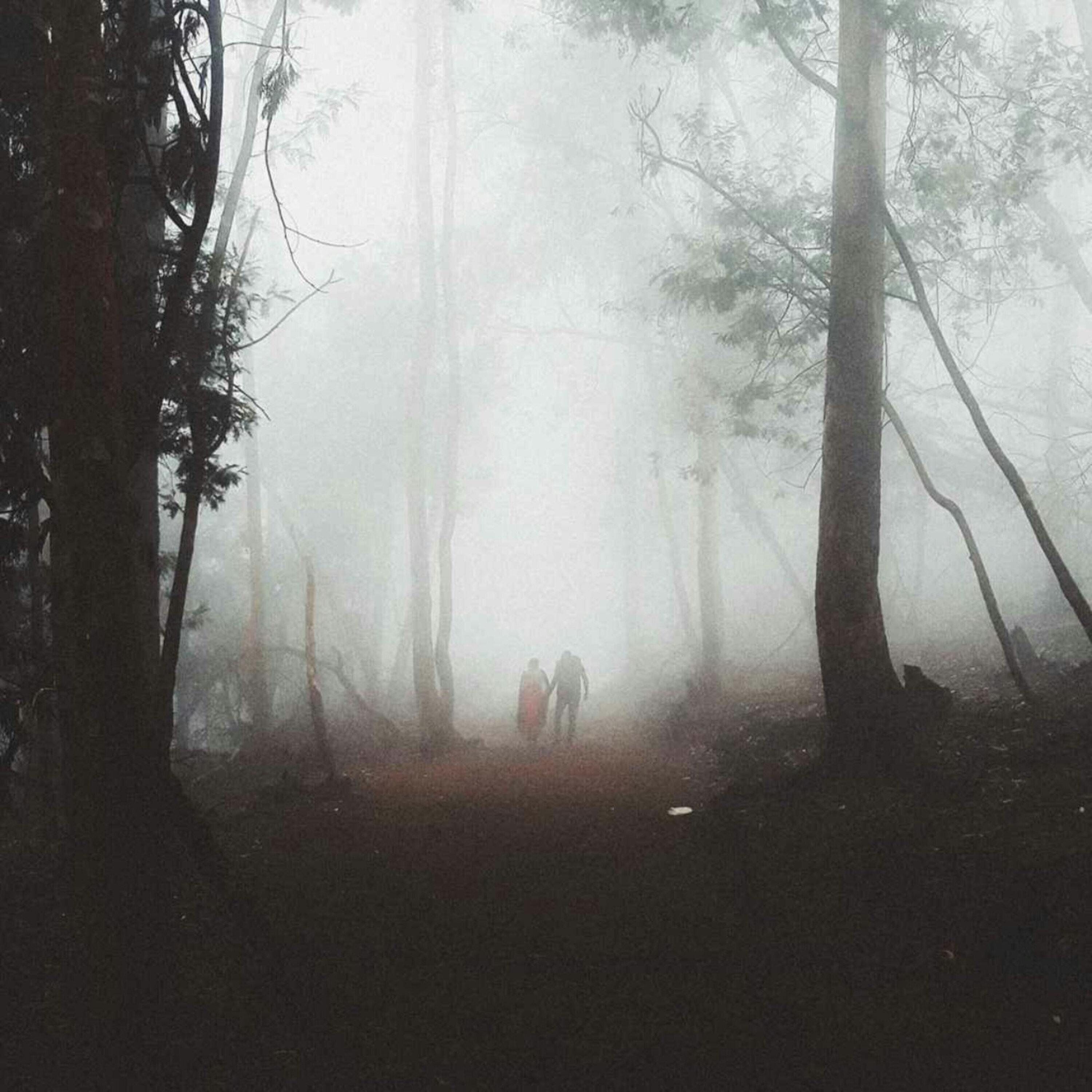 Aterrador 14 de Febrero