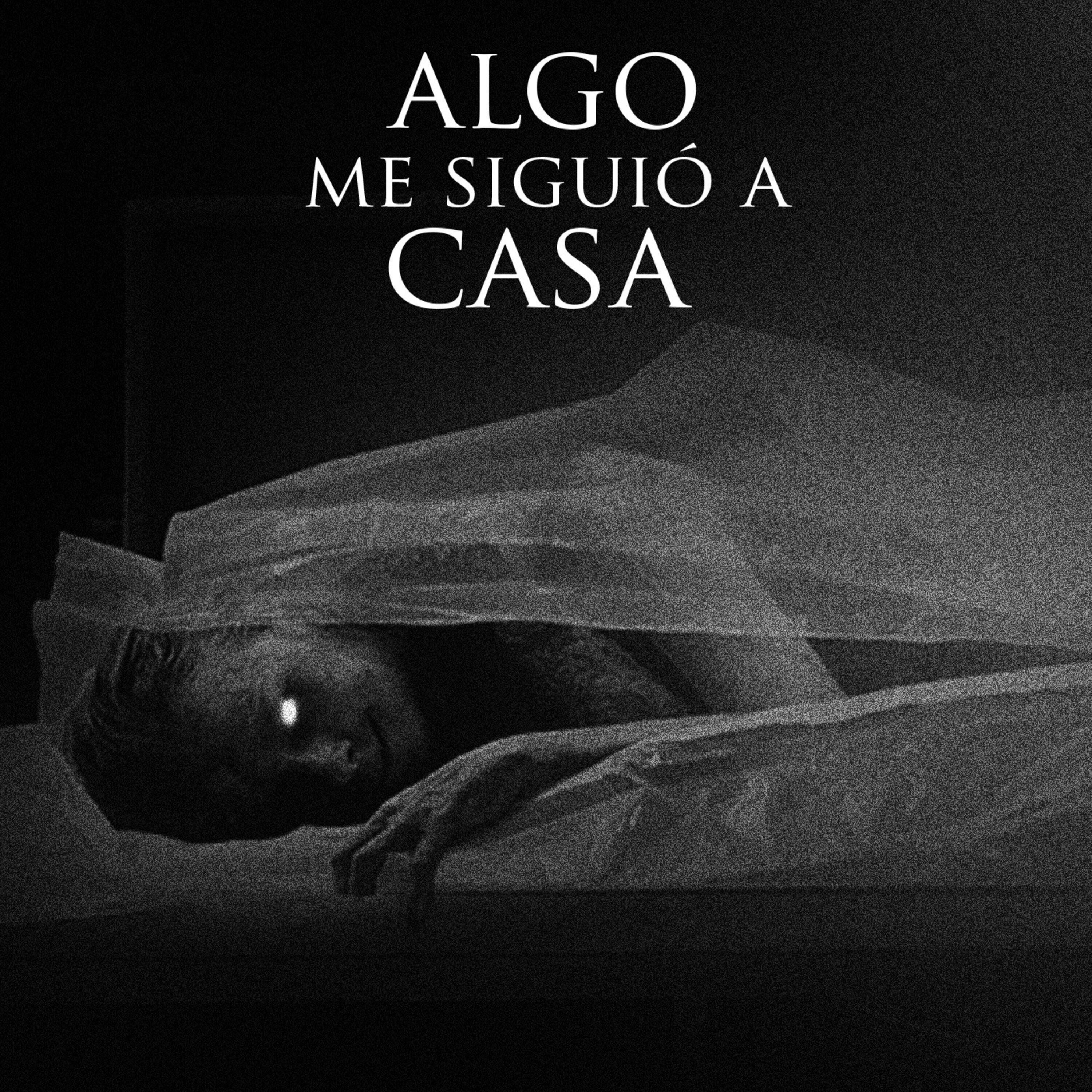Algo me siguió de la morgue (historias de terror)