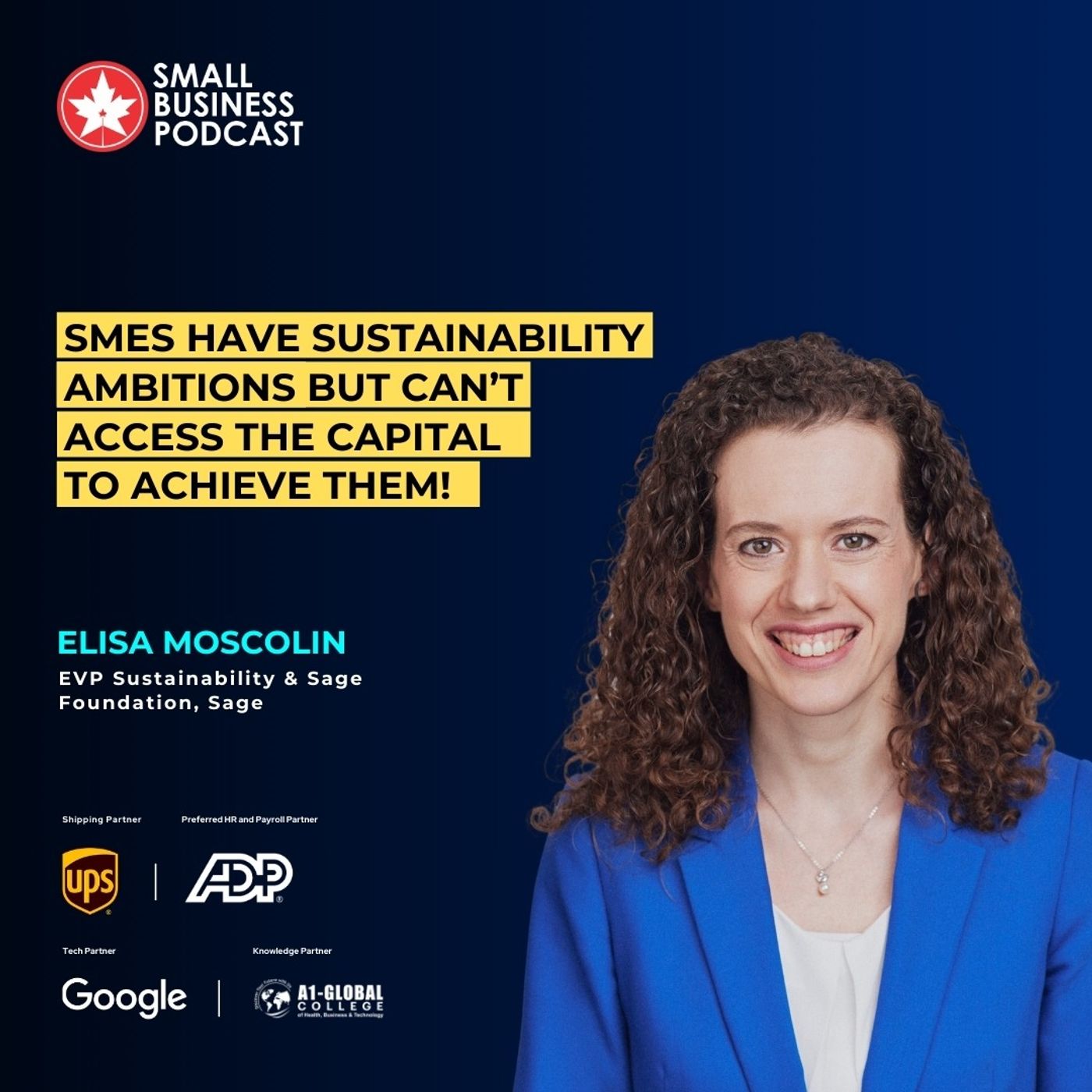 SMEs Have Sustainability Ambitions But Can’t Access the Capital to Achieve them! SMEs Have Sustainability Ambitions But Can’t Access the Capital to Achieve them!
