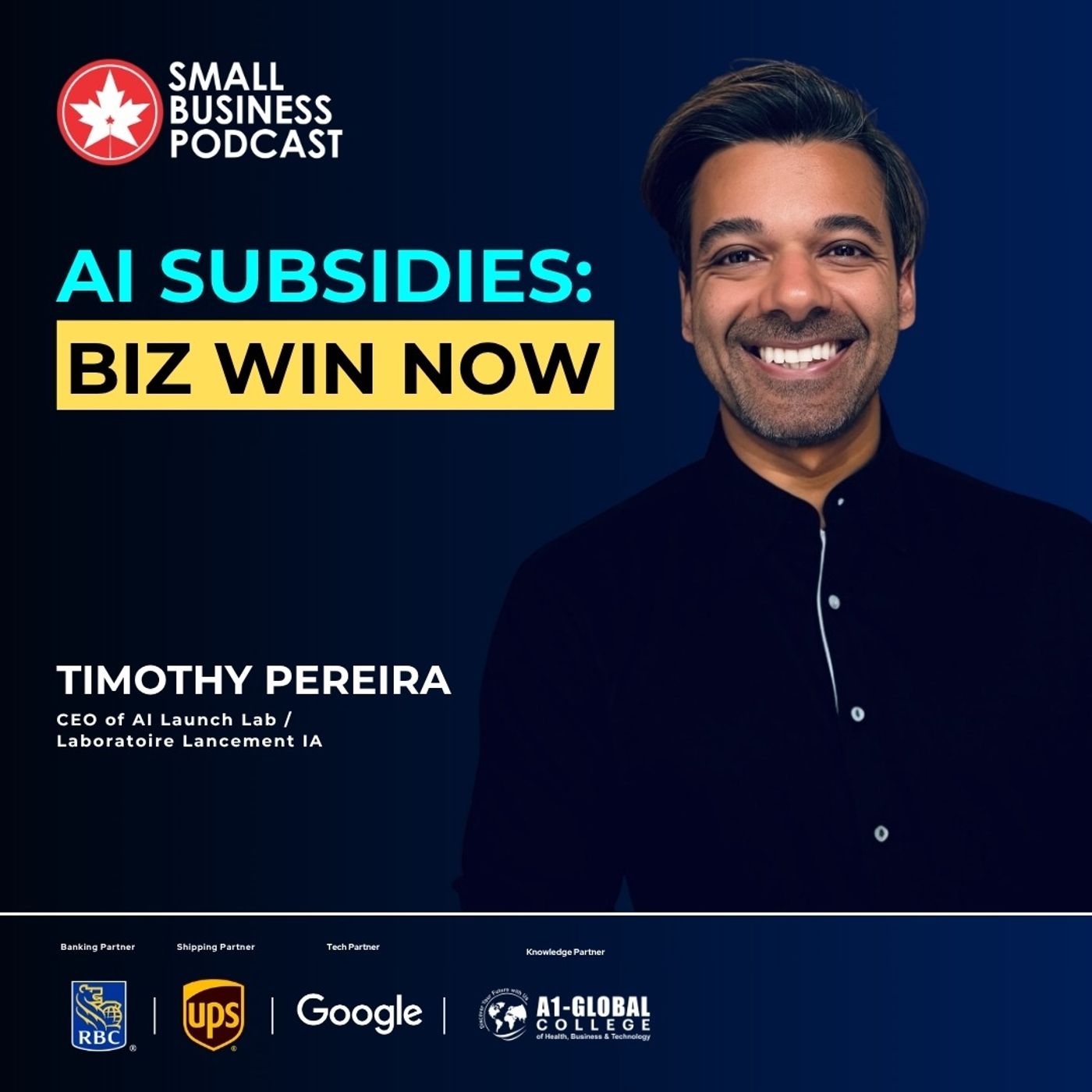 AI Subsidies: Biz Win Now