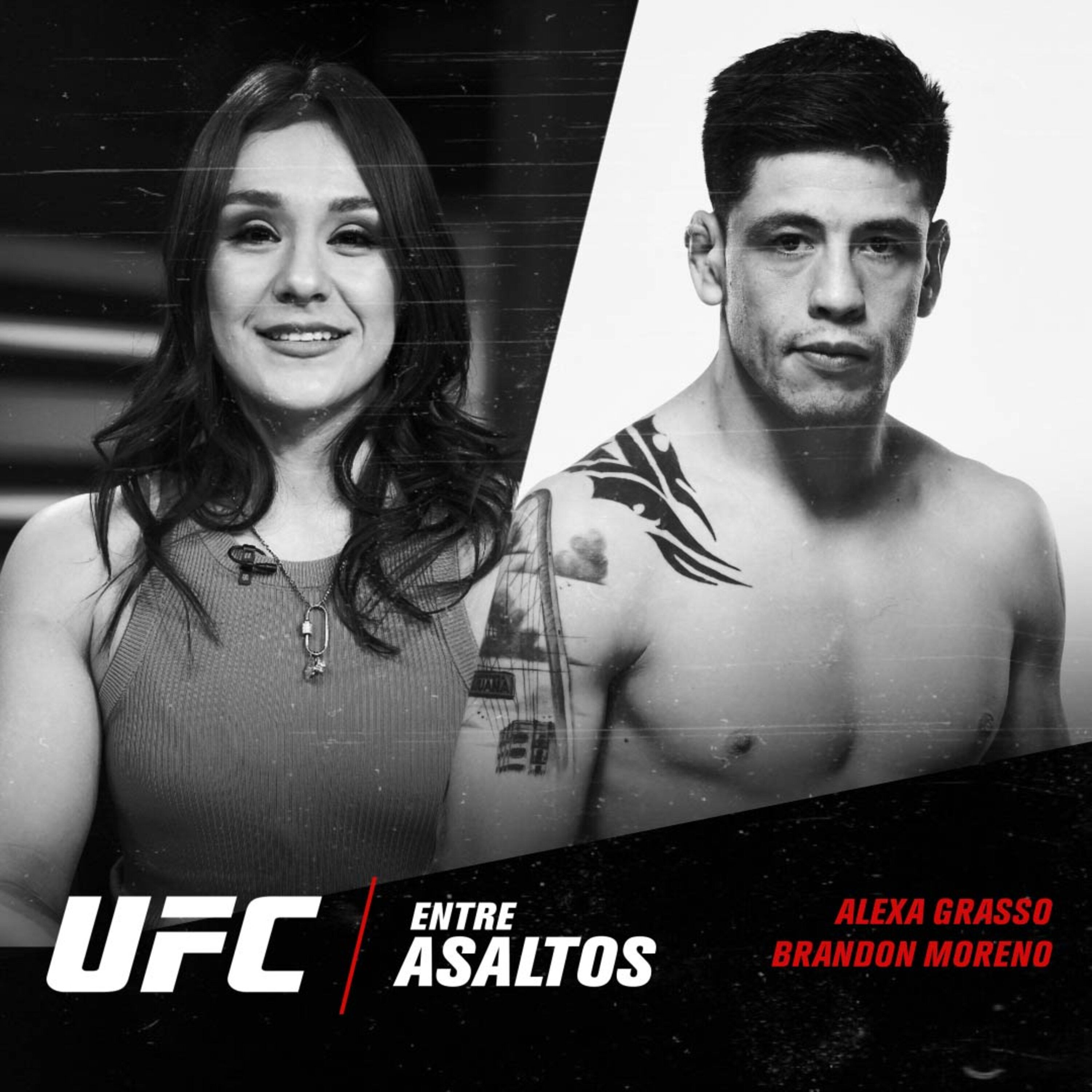 UFC Entre Asaltos