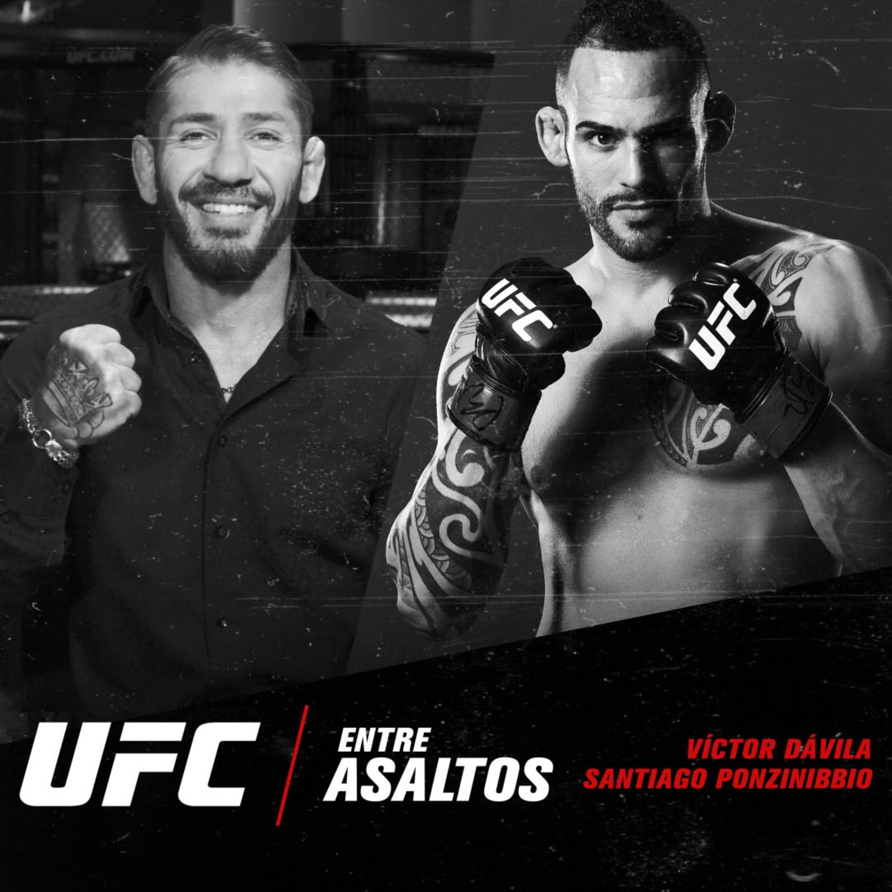 UFC Entre Asaltos