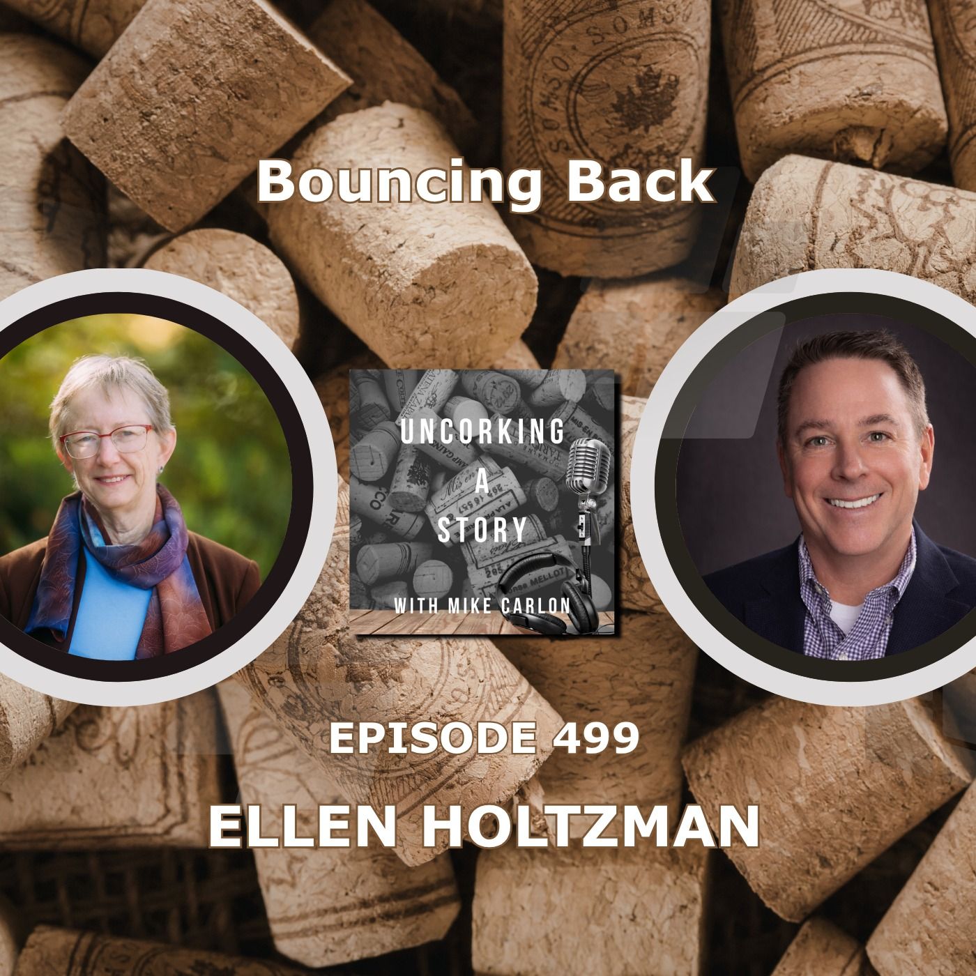 Bouncing Back, with Ellen Holtzman