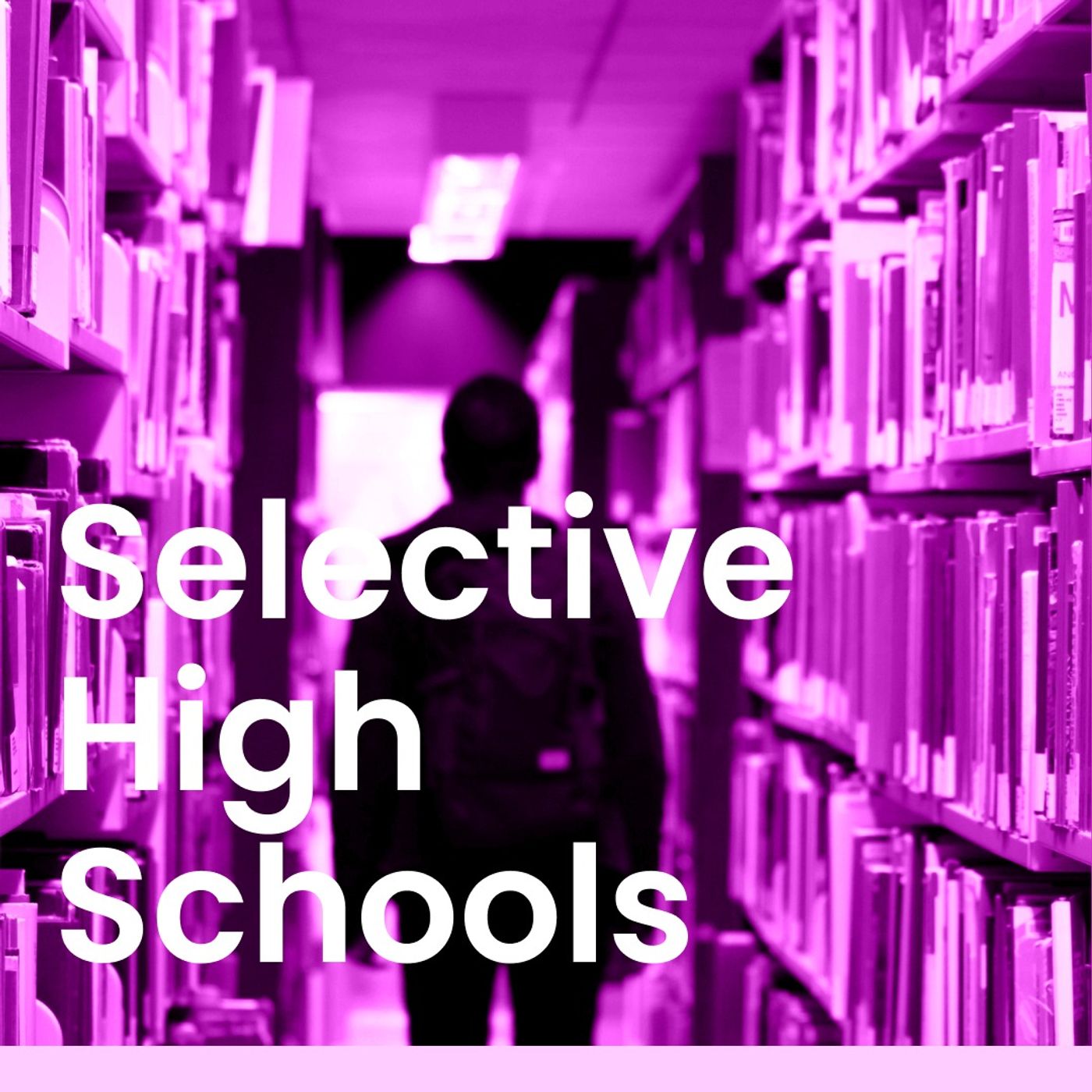 Selective Public High Schools & DEI