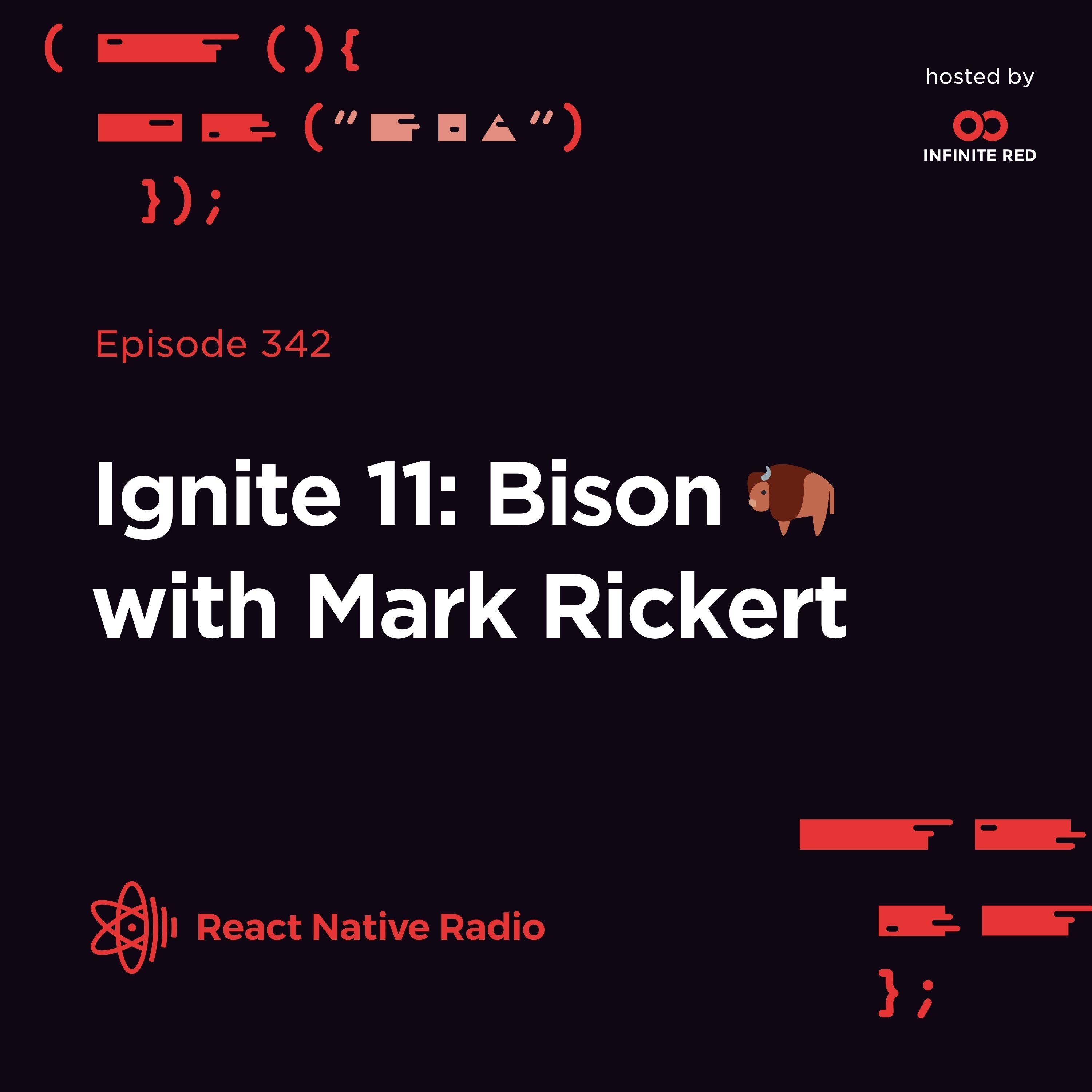 RNR 342 - Ignite 11: Bison 🦬 with Mark Rickert