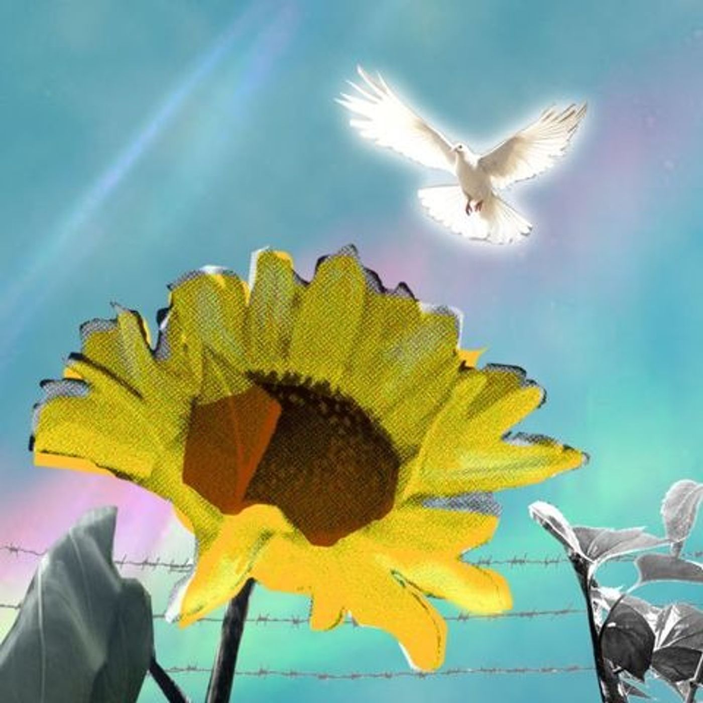 Toivosta ja aktivismista – On hope & activism