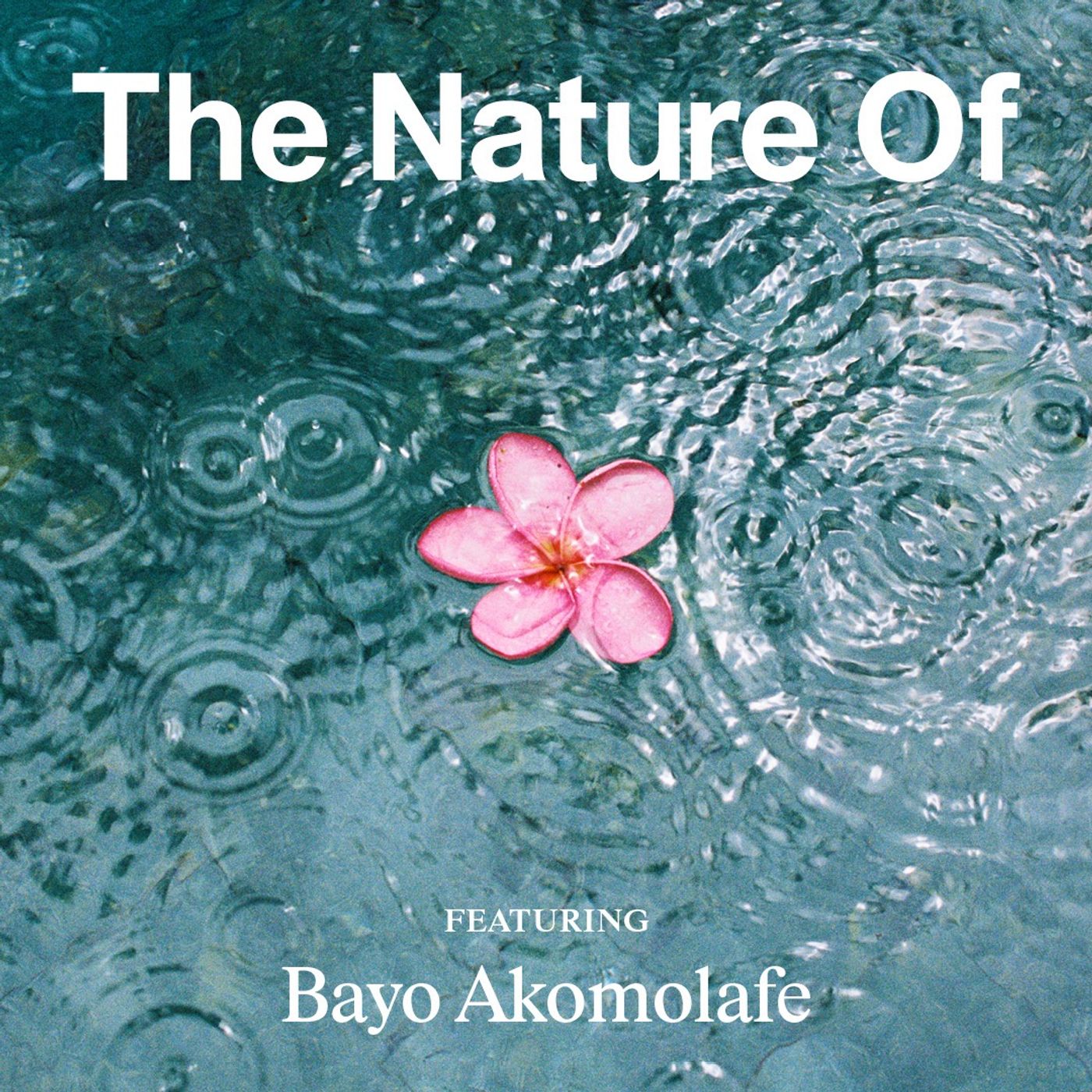 The Nature Of with Willow Defebaugh