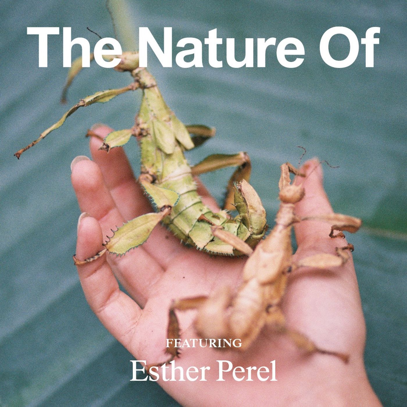 Esther Perel on Interconnection and Curing Modern Loneliness