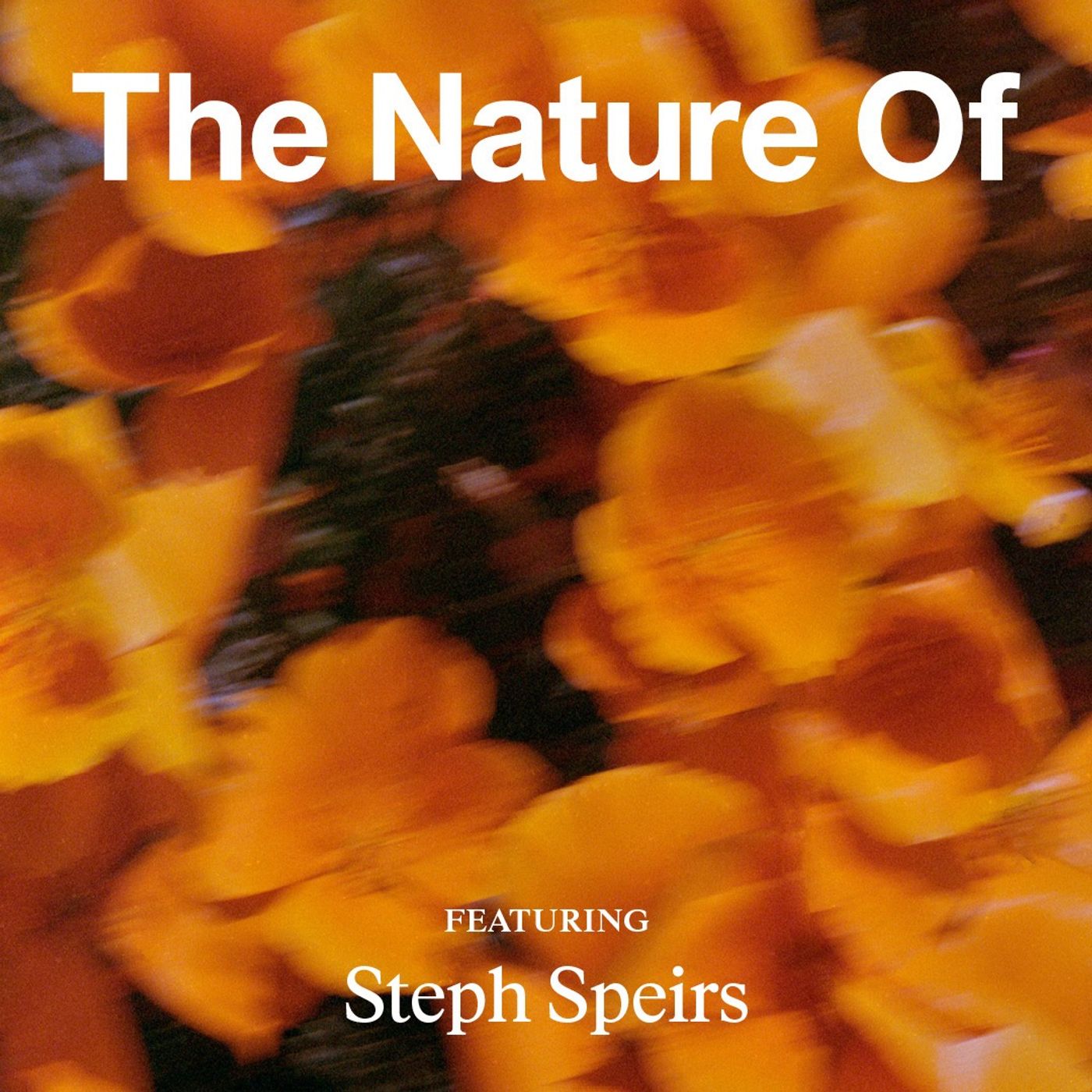 Steph Speirs Will Change How You Think About Money—For Good