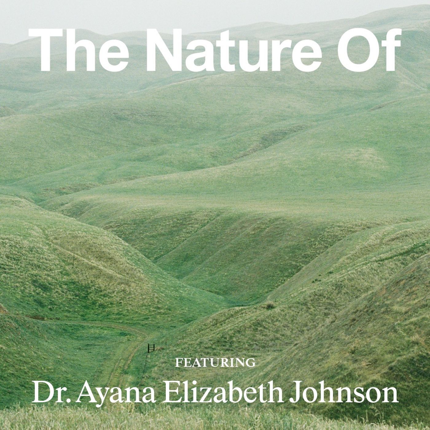 The Nature Of with Willow Defebaugh
