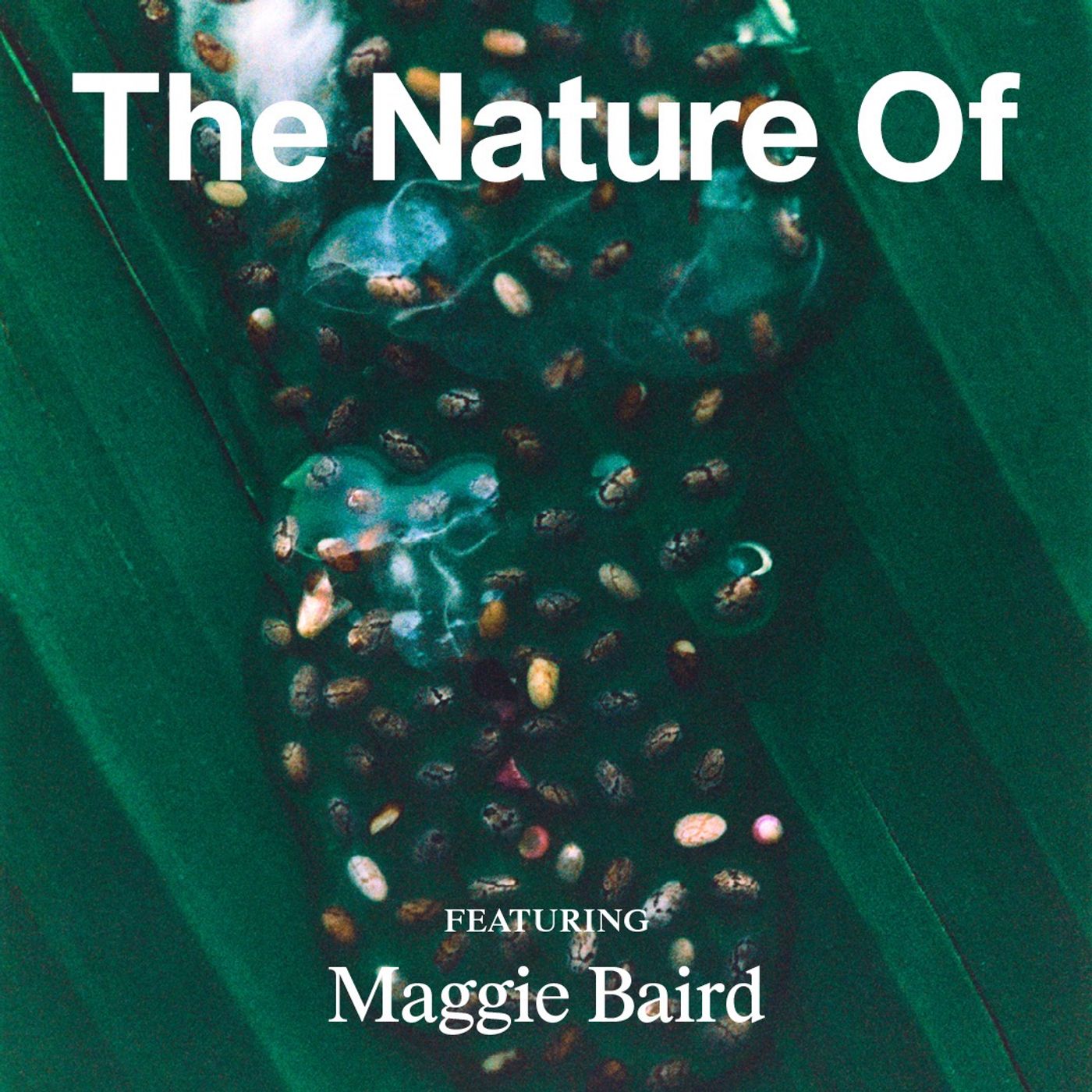 The Nature Of with Willow Defebaugh