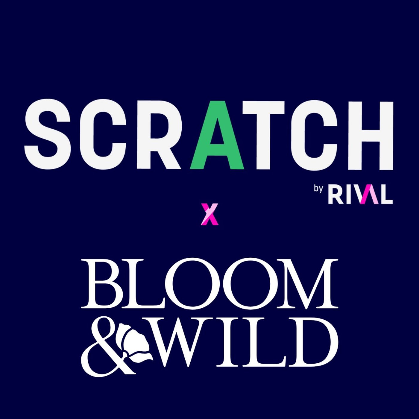 How Delightful Customer Experiences Powered Bloom & Wild to 20M Deliveries