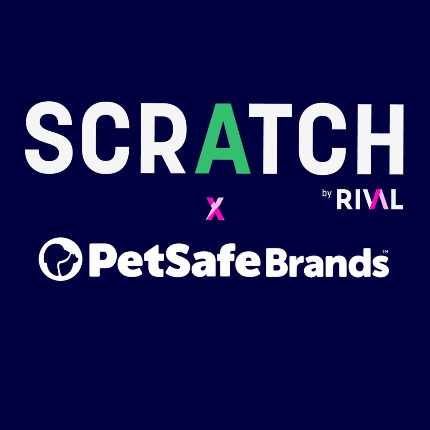 Cracking the $128Bn Pet Market with the CMO of Petsafe Brands