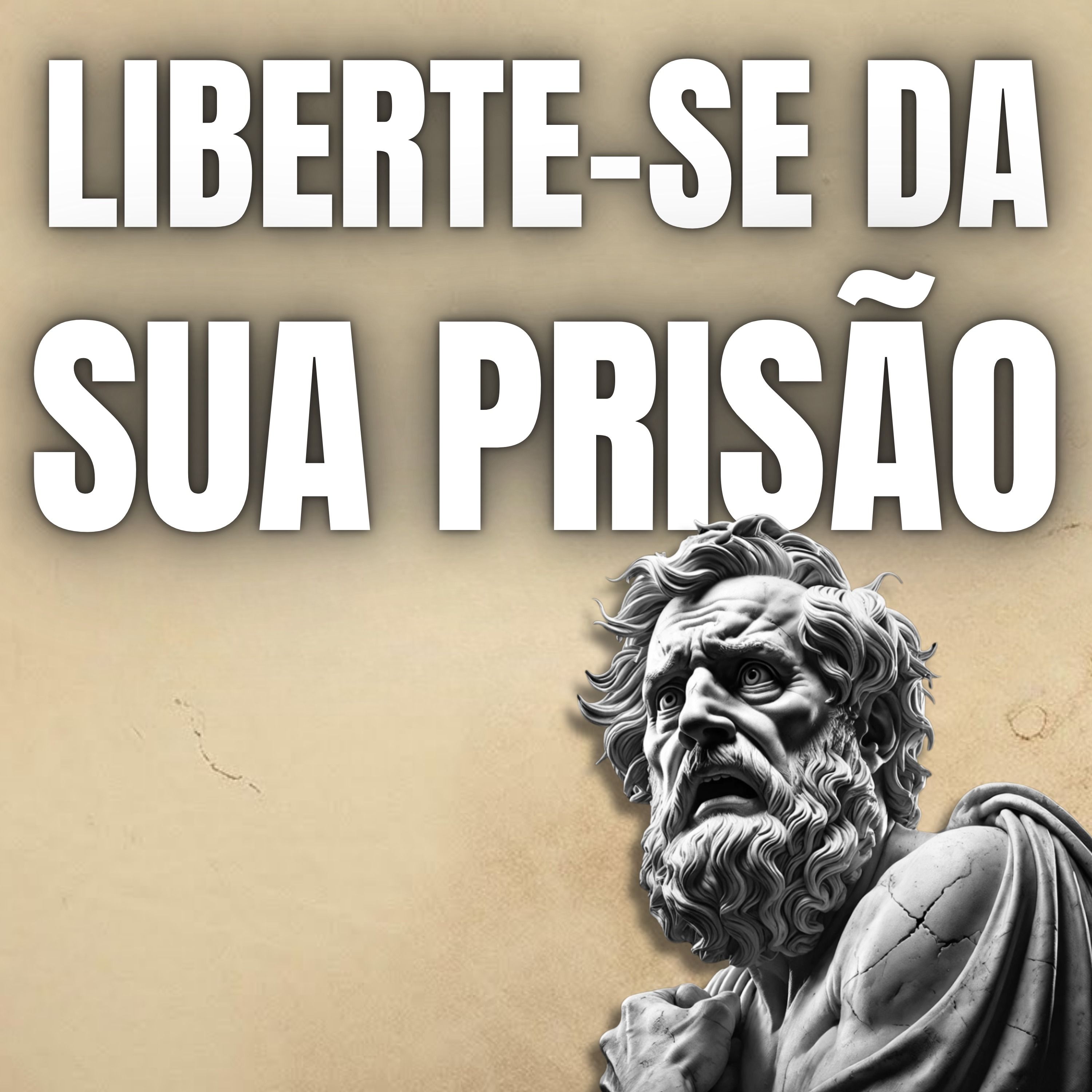 Estoicismo para Vencedores