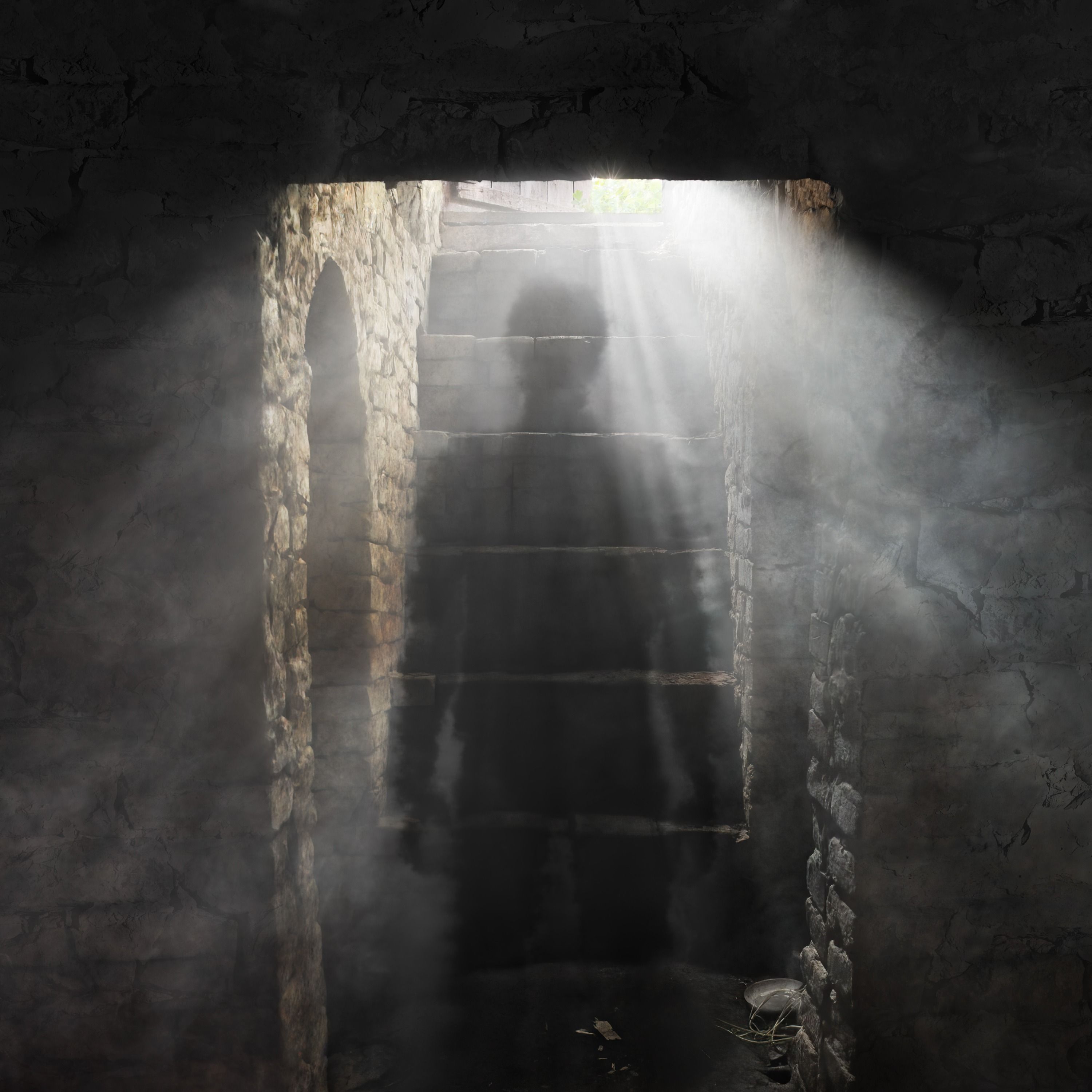 El fantasma de la bodega