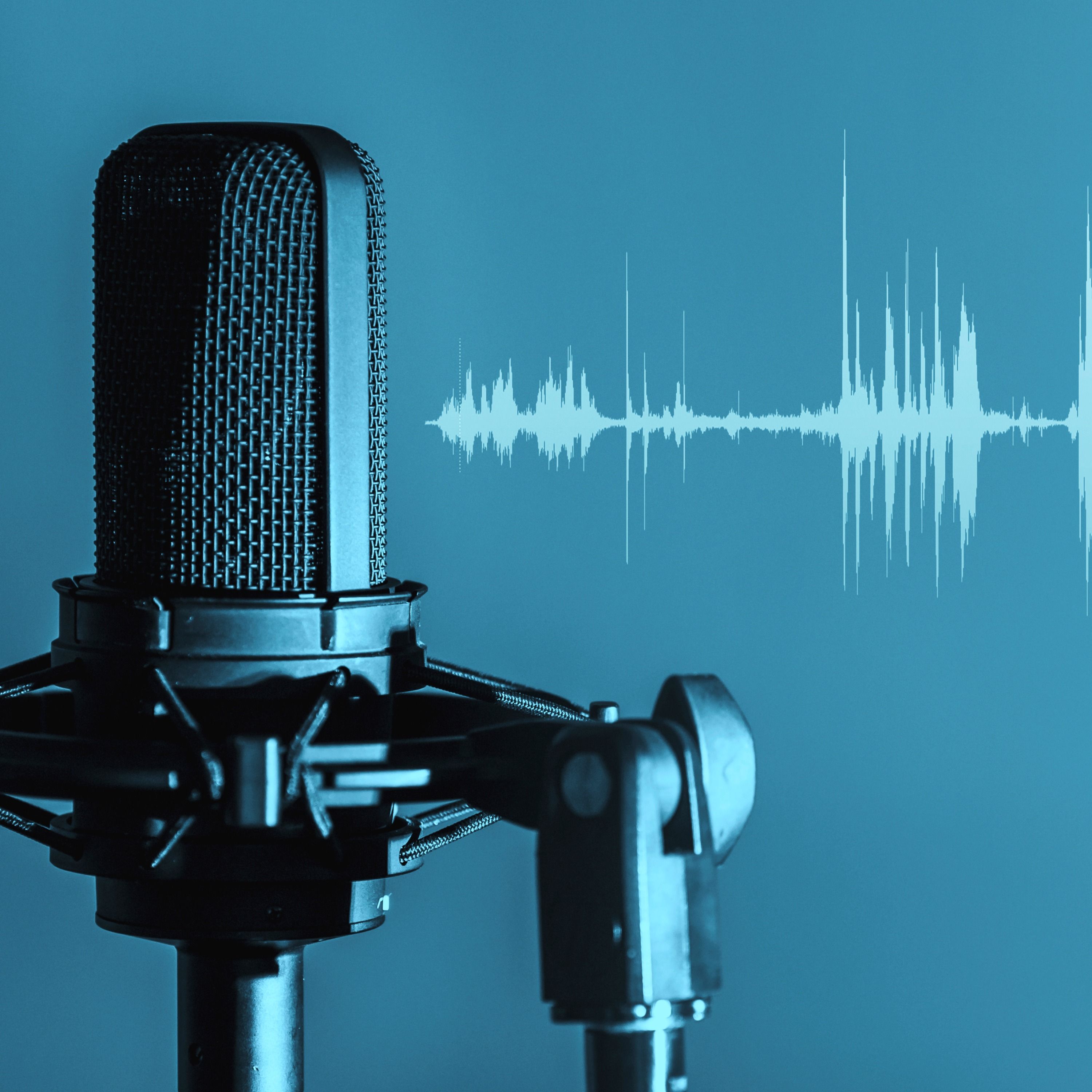 Análisis de una psicofonía