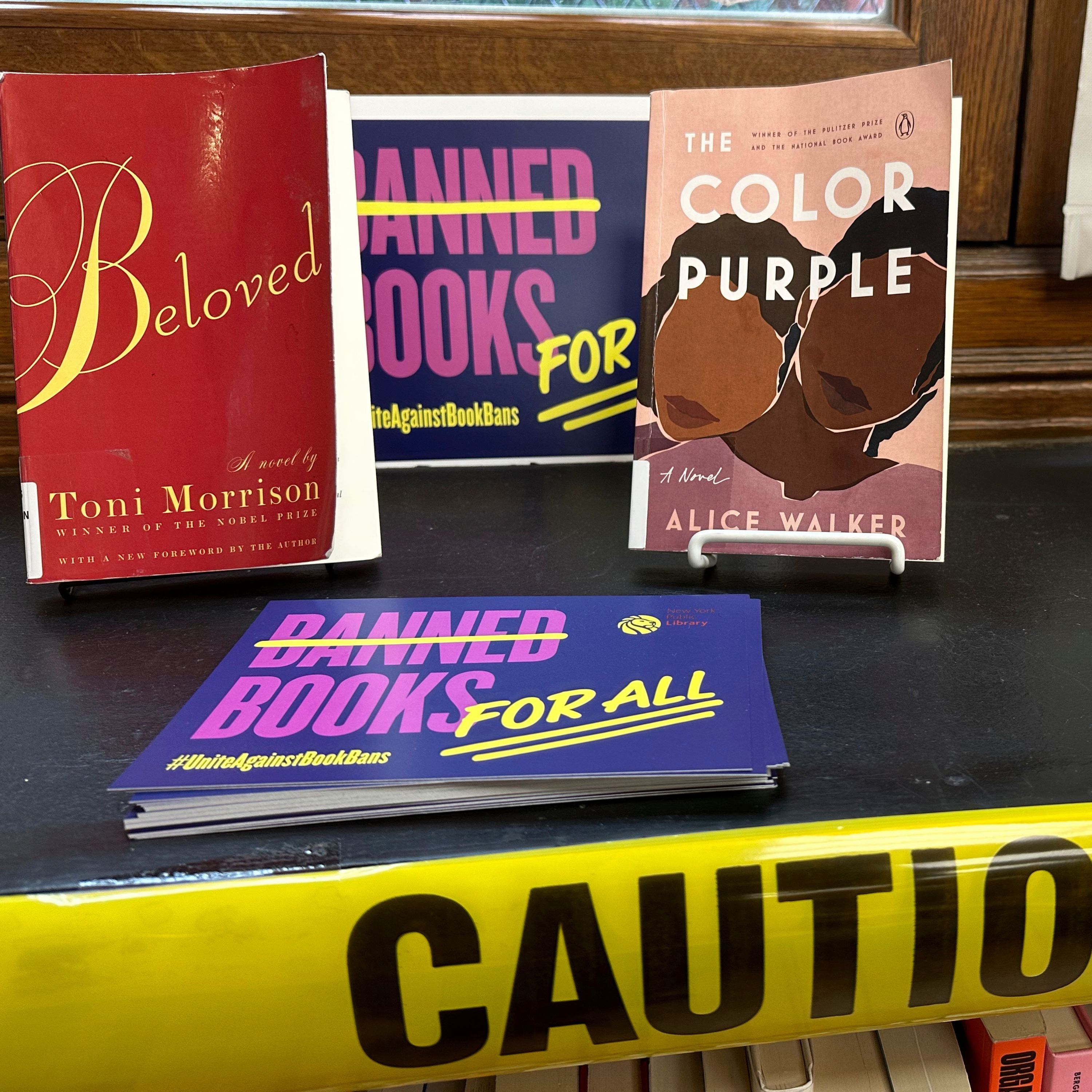 Book Bans Surge as Diverse Voices Targeted