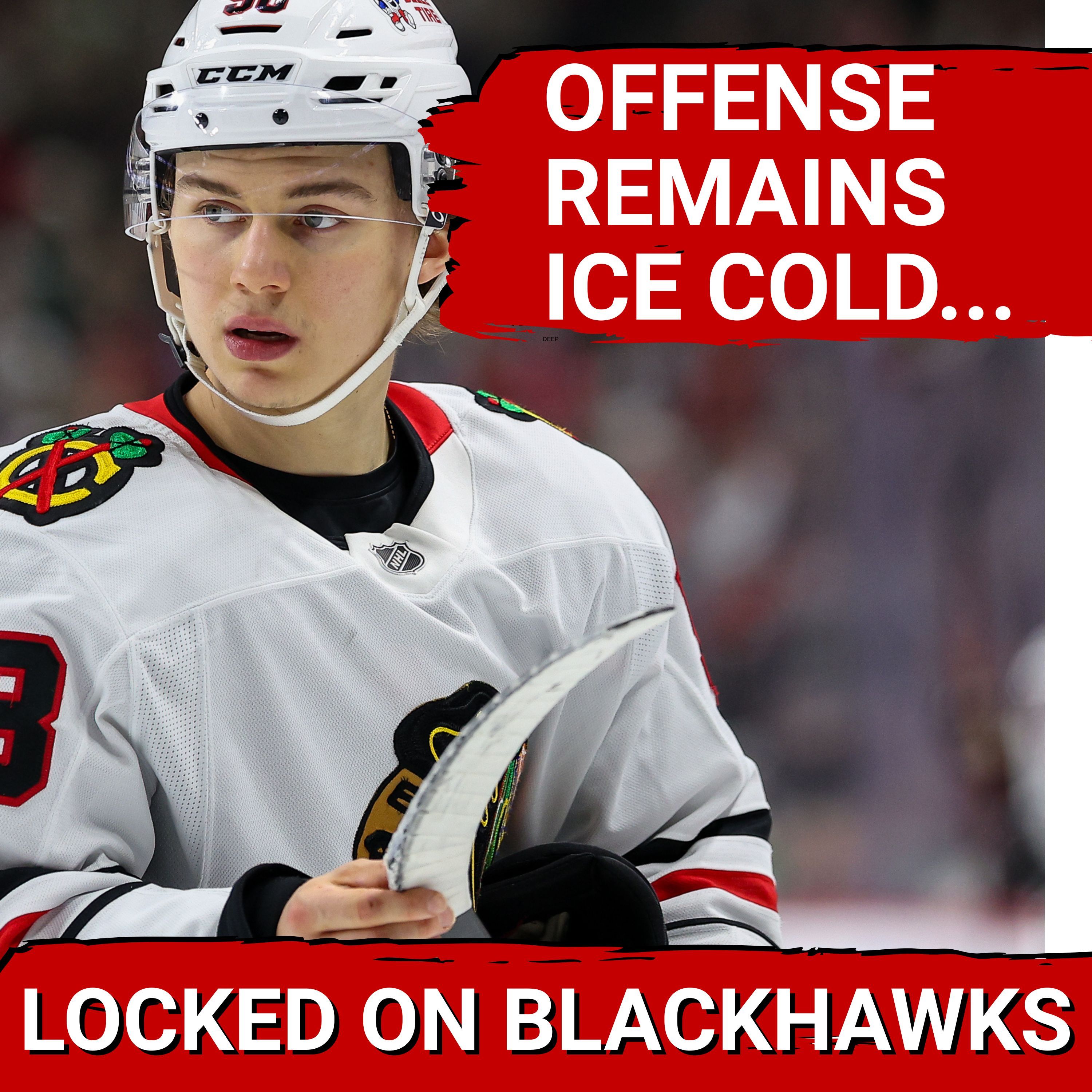 Chicago Blackhawks Offense, Connor Bedard Slumping | Point Streak Snapped With Loss To Panthers