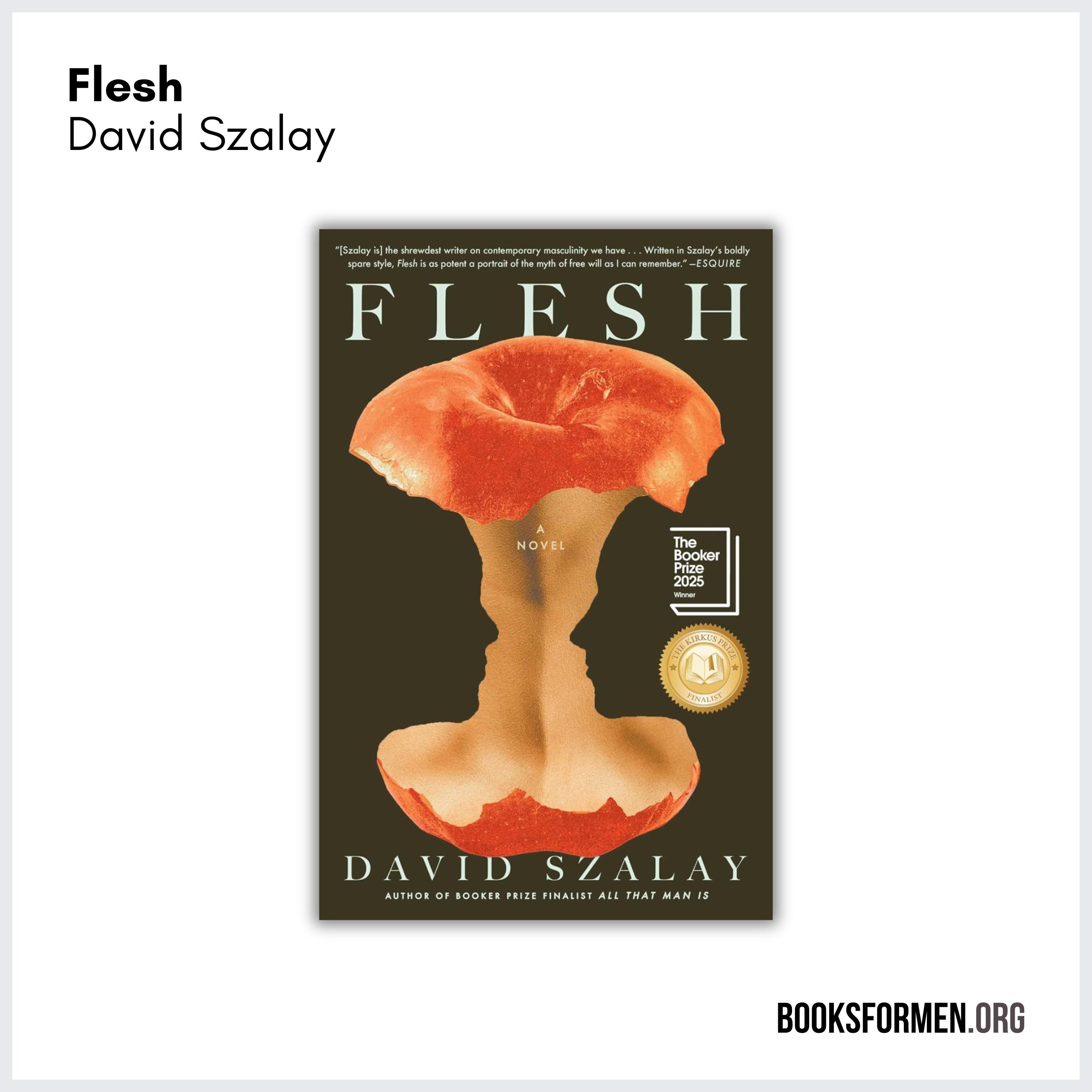 #287 | How David Szalay’s ‘Flesh’ Challenges Men to Confront Their Emotional Realities Before They Are Destroyed by Them — Books for Men cover