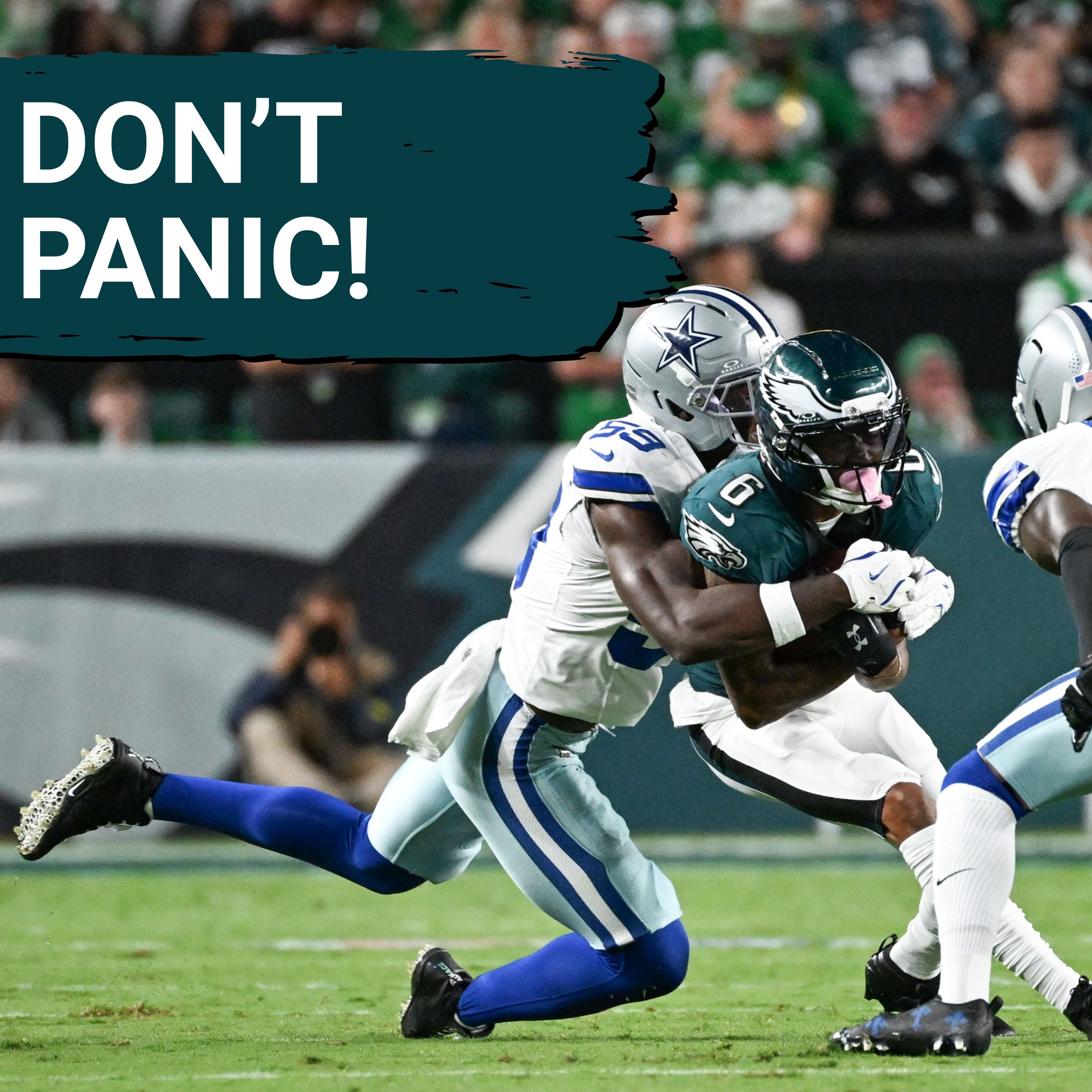 DON'T PANIC! The passing game will be fine!