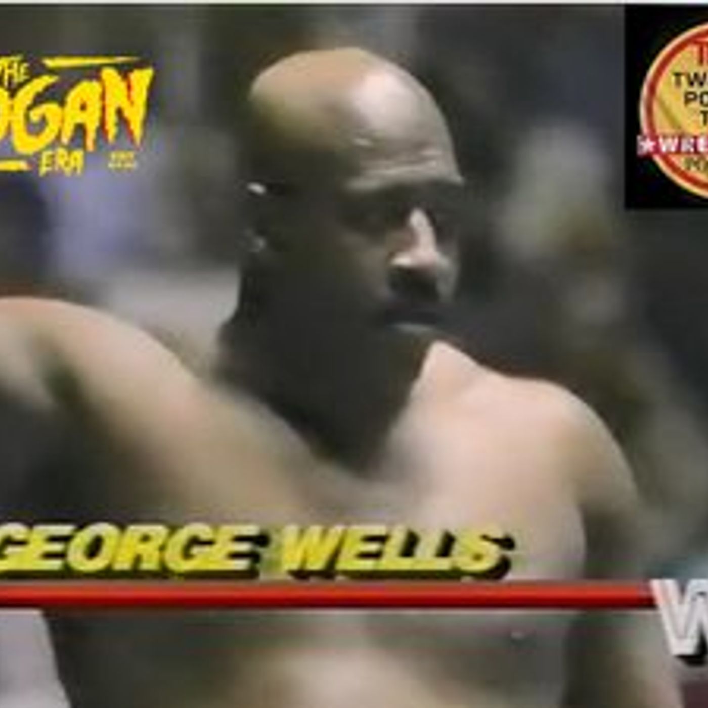 The Hogan Era - George Wells