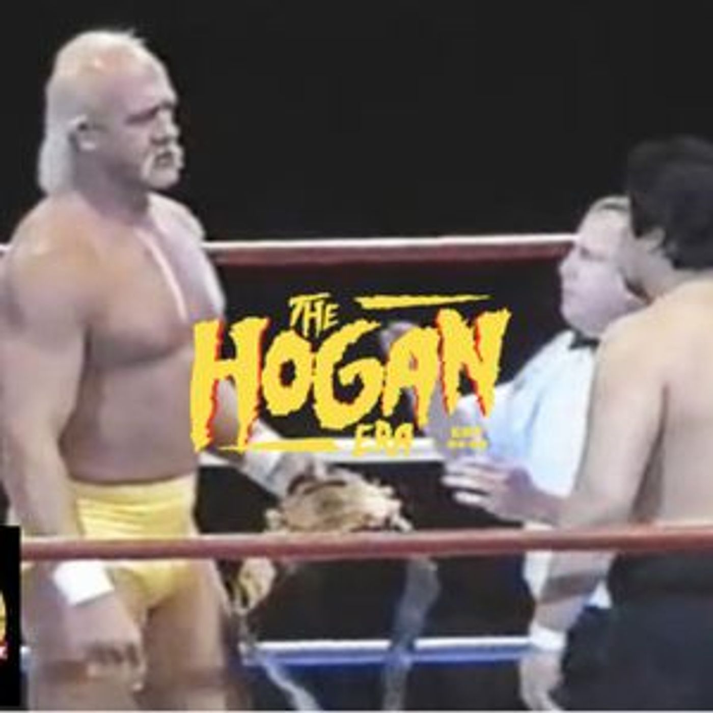 Episode 76: The Hogan Era - Yoshiaki Yatsu