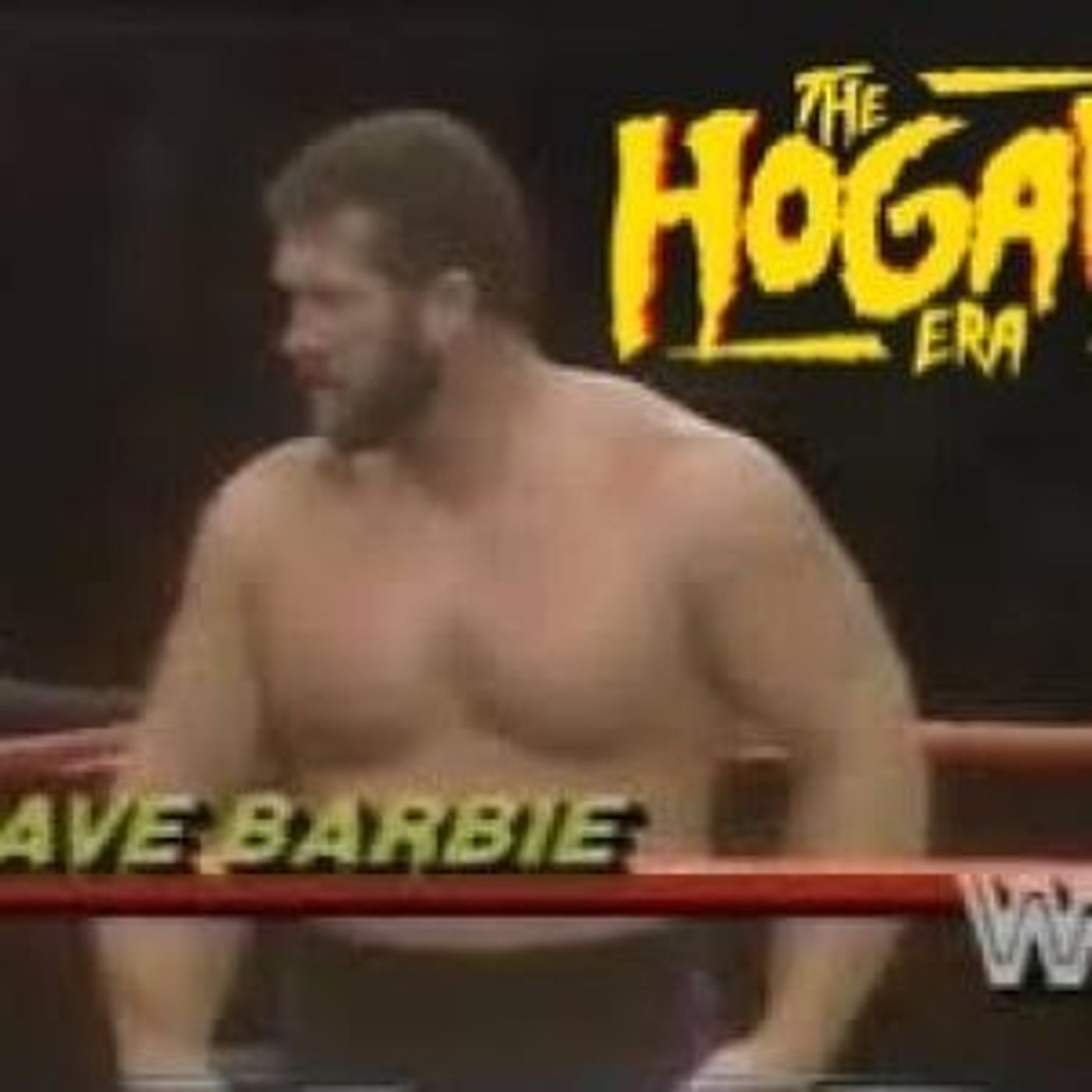 The Hogan Era - Dave Barbie
