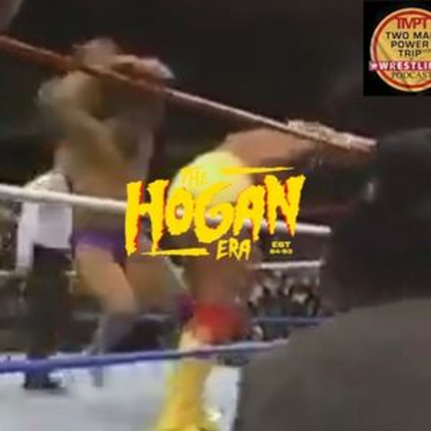 Episode 70: The Hogan Era - Rick 'The Model' Martel